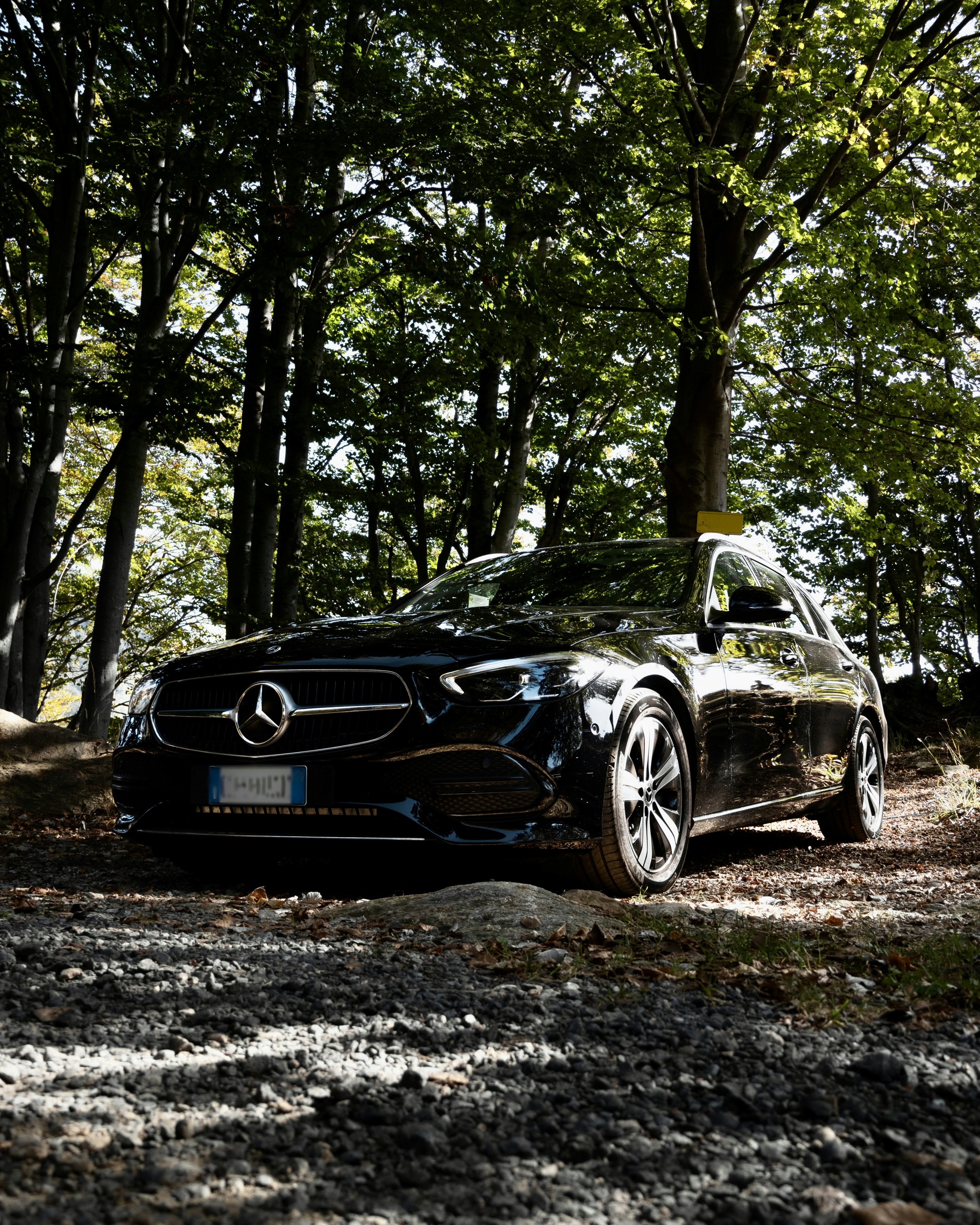 A car parked in the middle of a forest photo – Free Car Image on Unsplash
