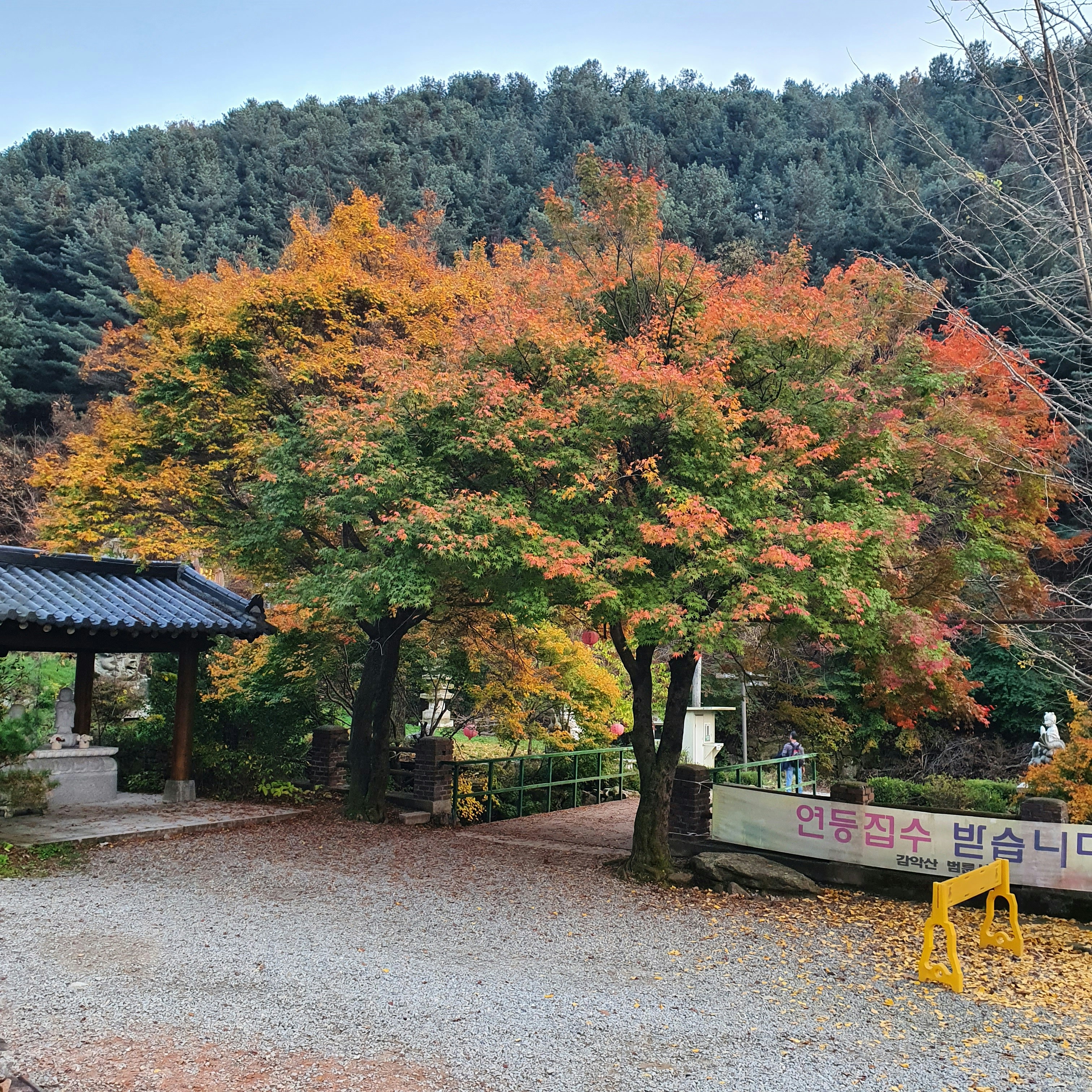 가을 등산 코스 가을 등산 코스