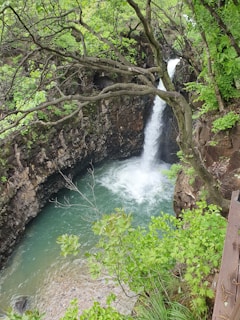 A dramatic waterfall cascading over natural stone into a crystal-clear reflecting pool framed by ornamental grasses.