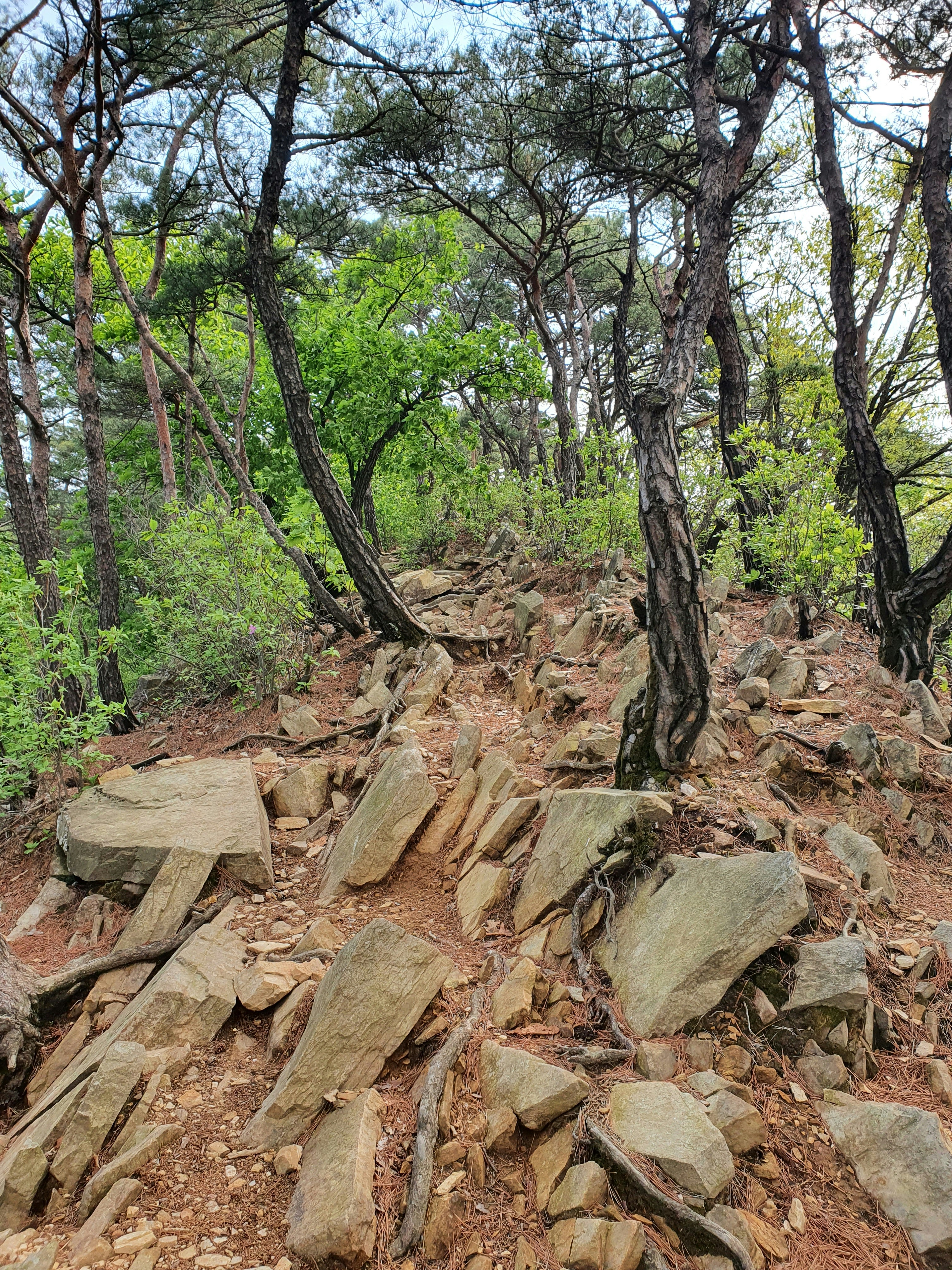 Photo by chulhyoung