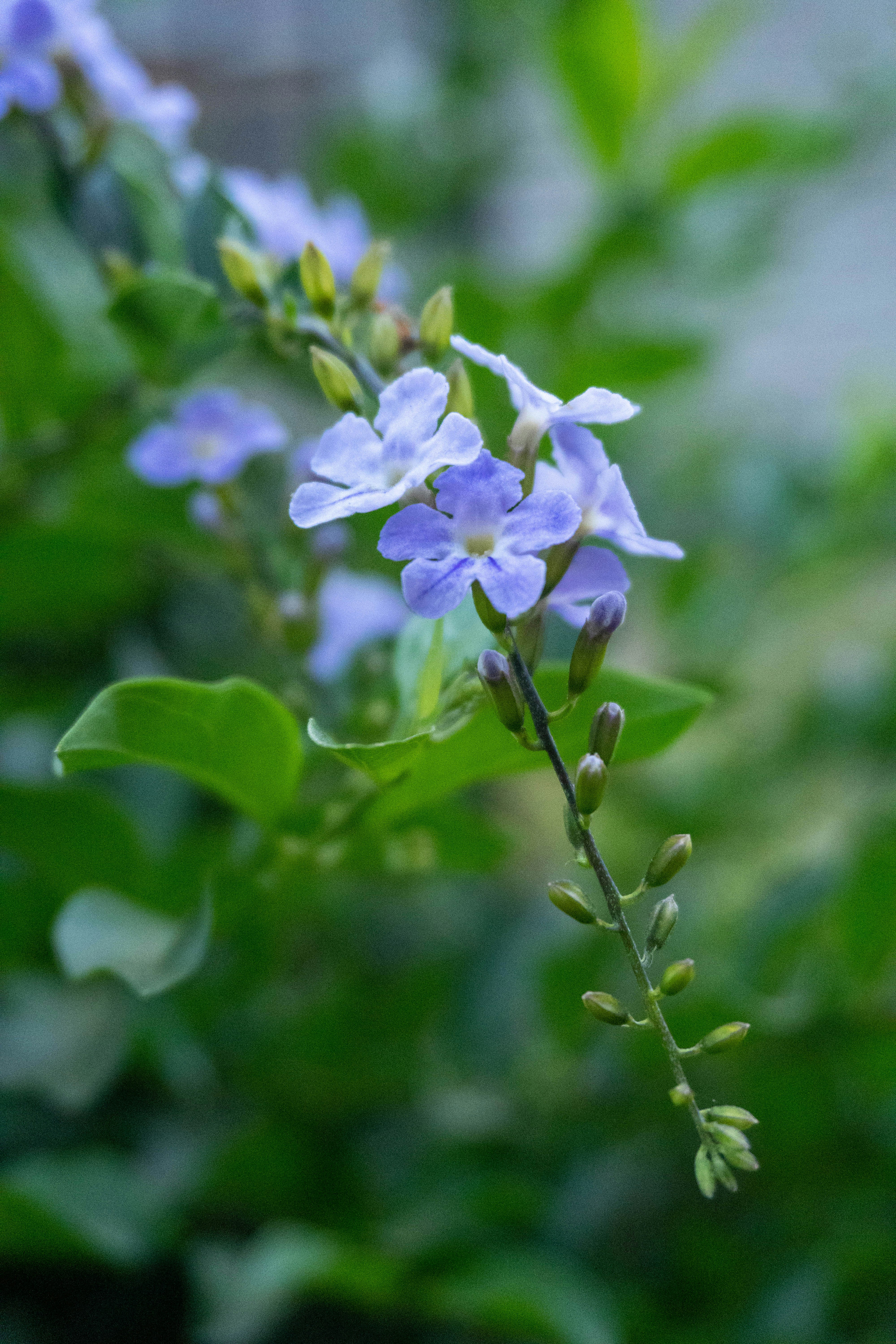 Photo by vincent_muriuki