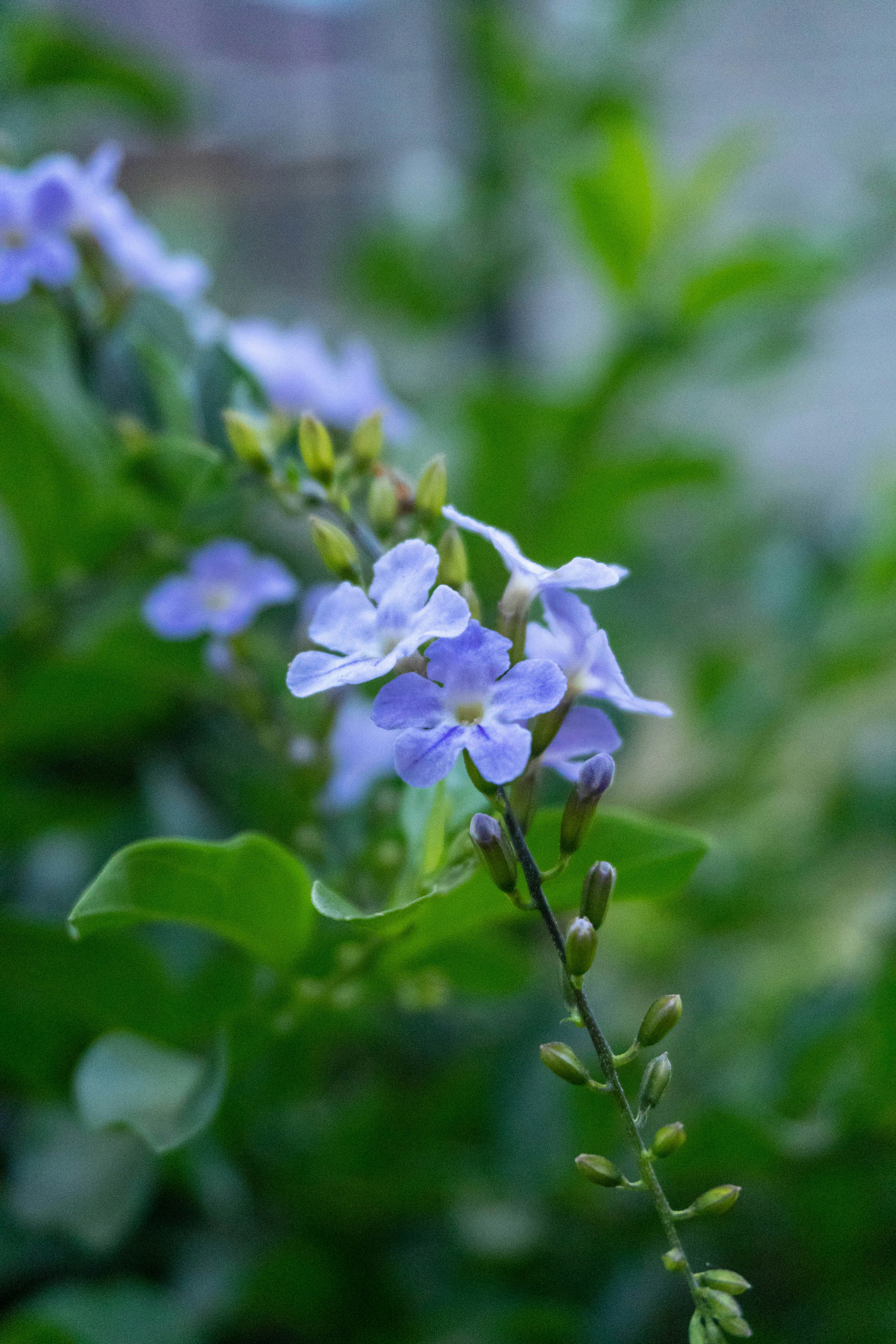 Photo by vincent_muriuki