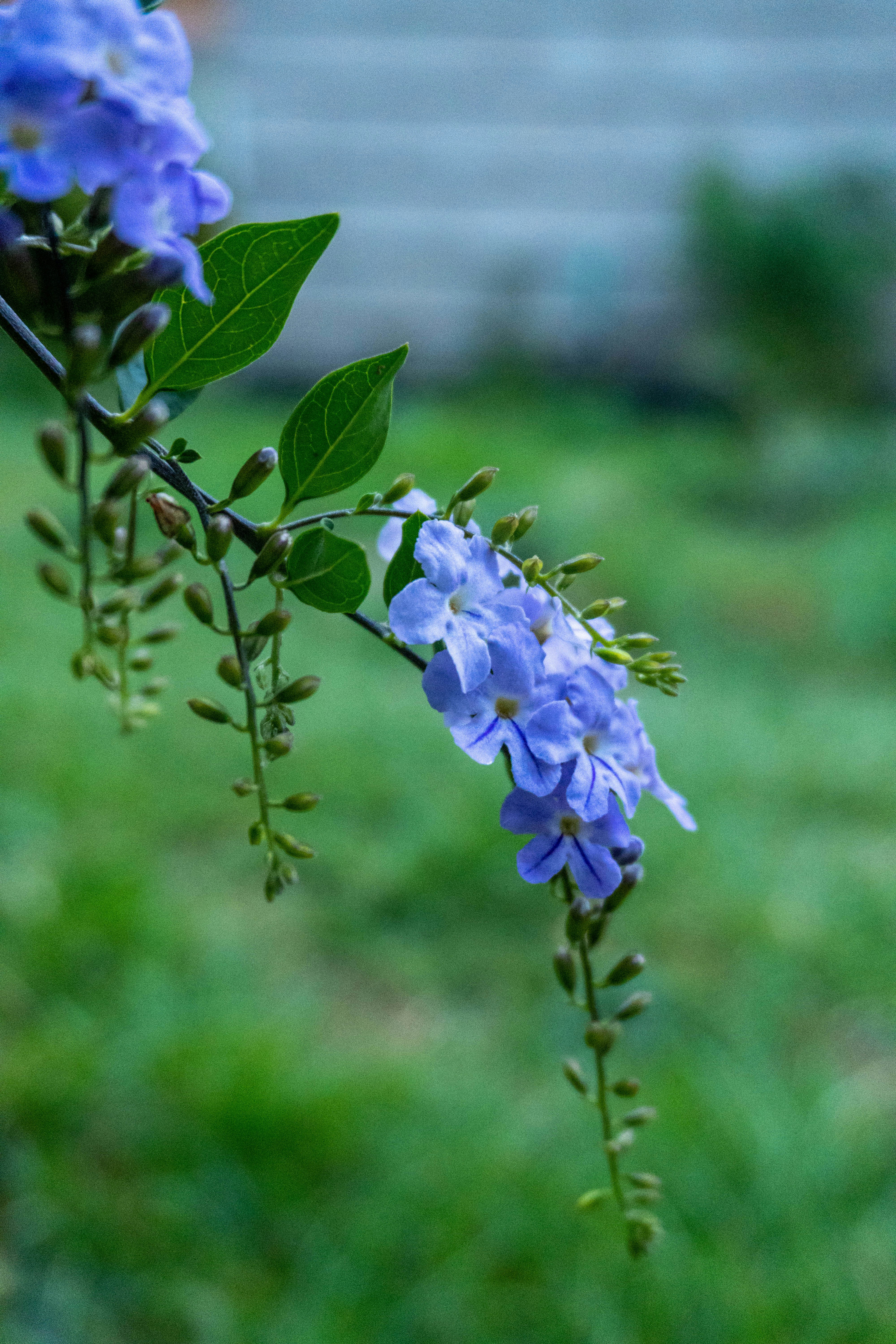 Photo by vincent_muriuki