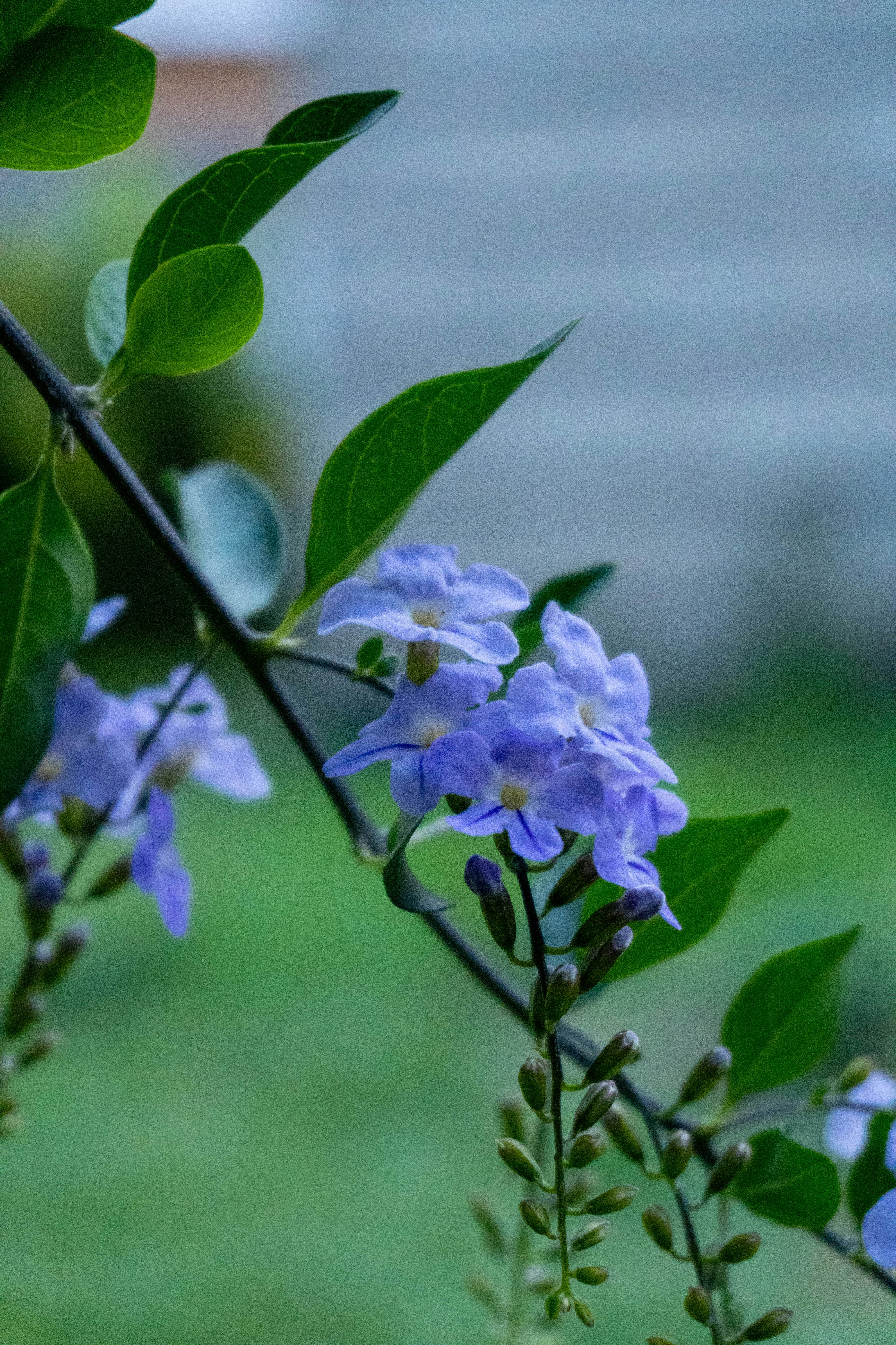 Photo by vincent_muriuki