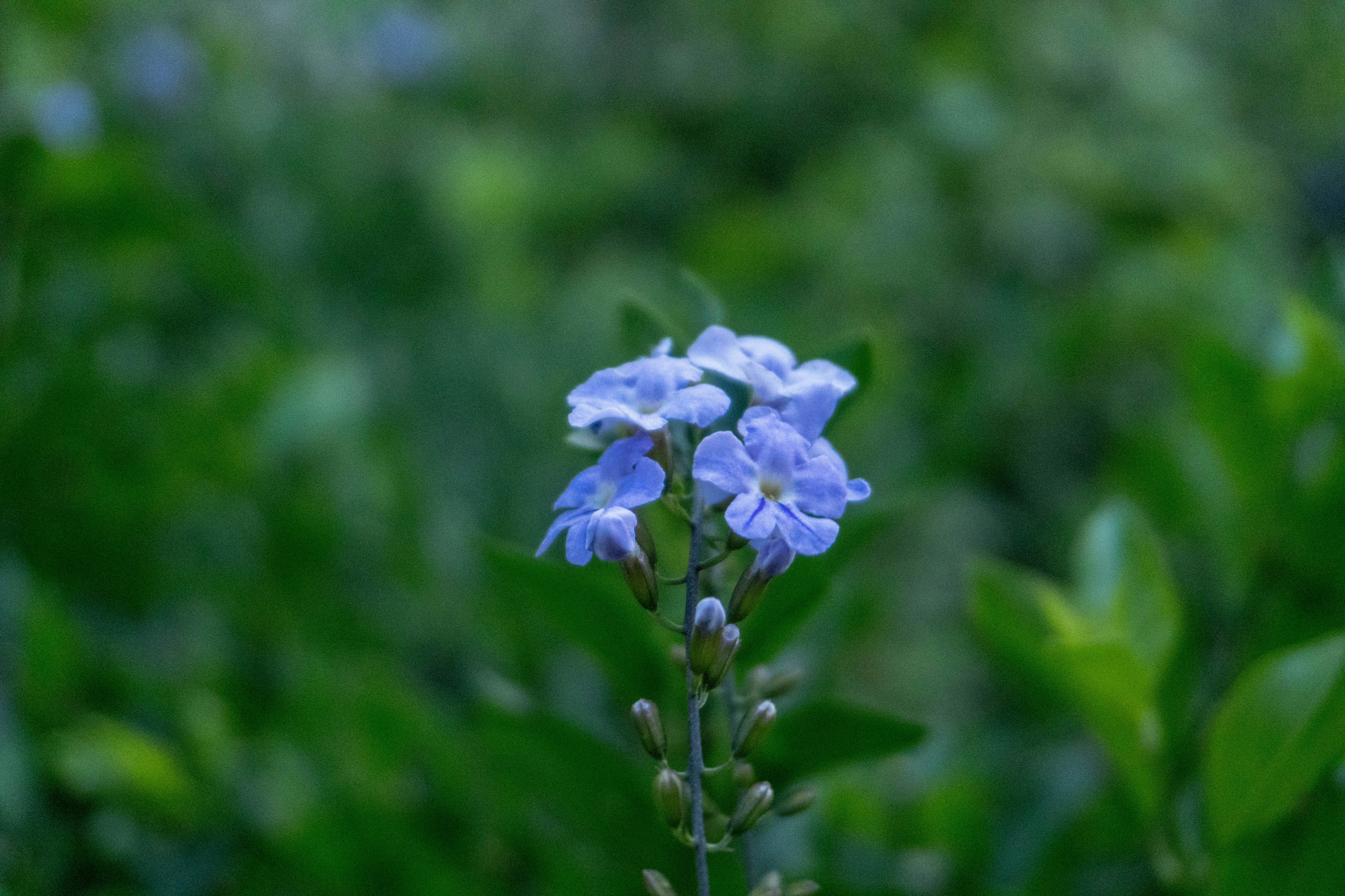 Photo by vincent_muriuki