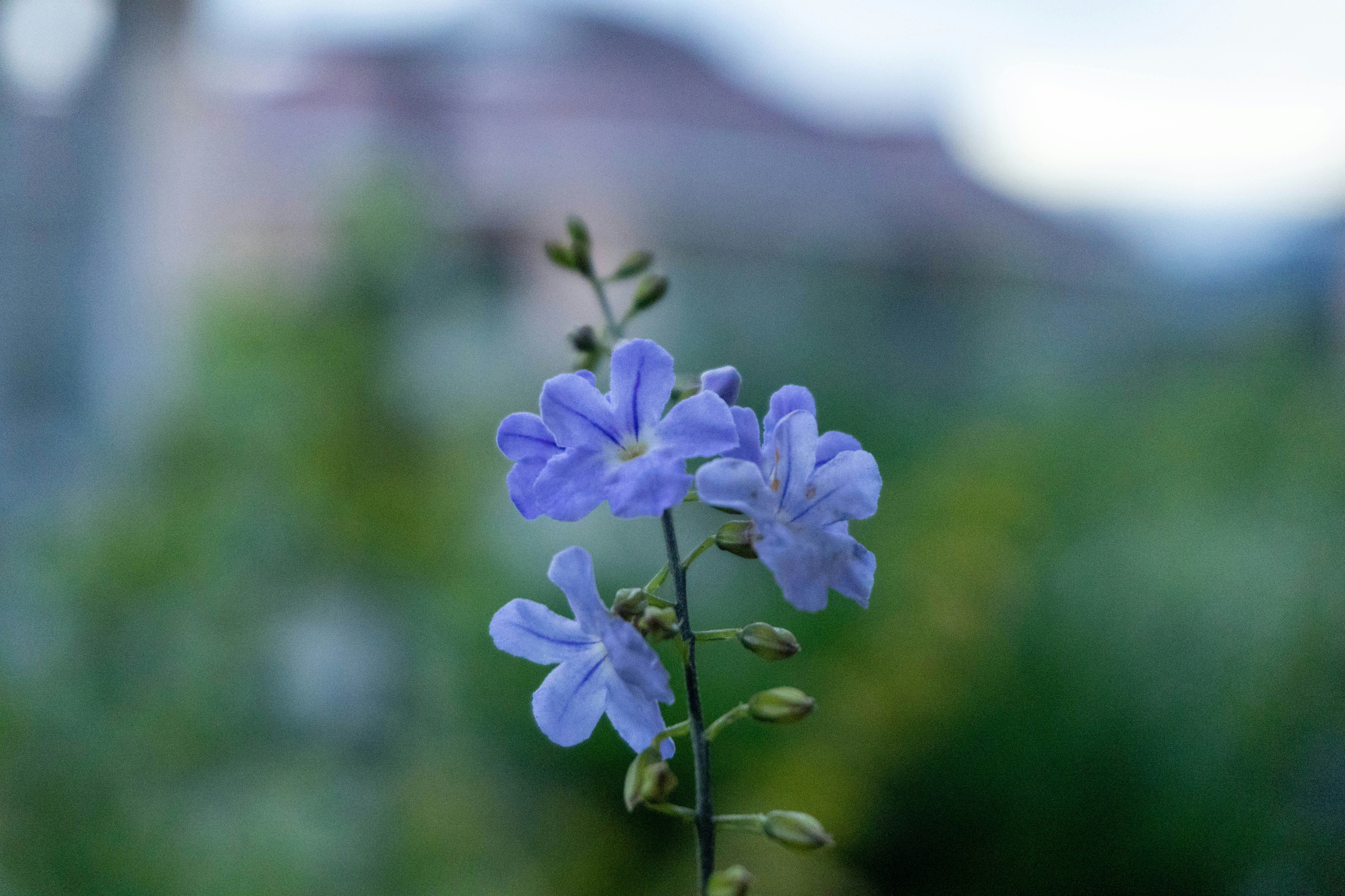 Photo by vincent_muriuki