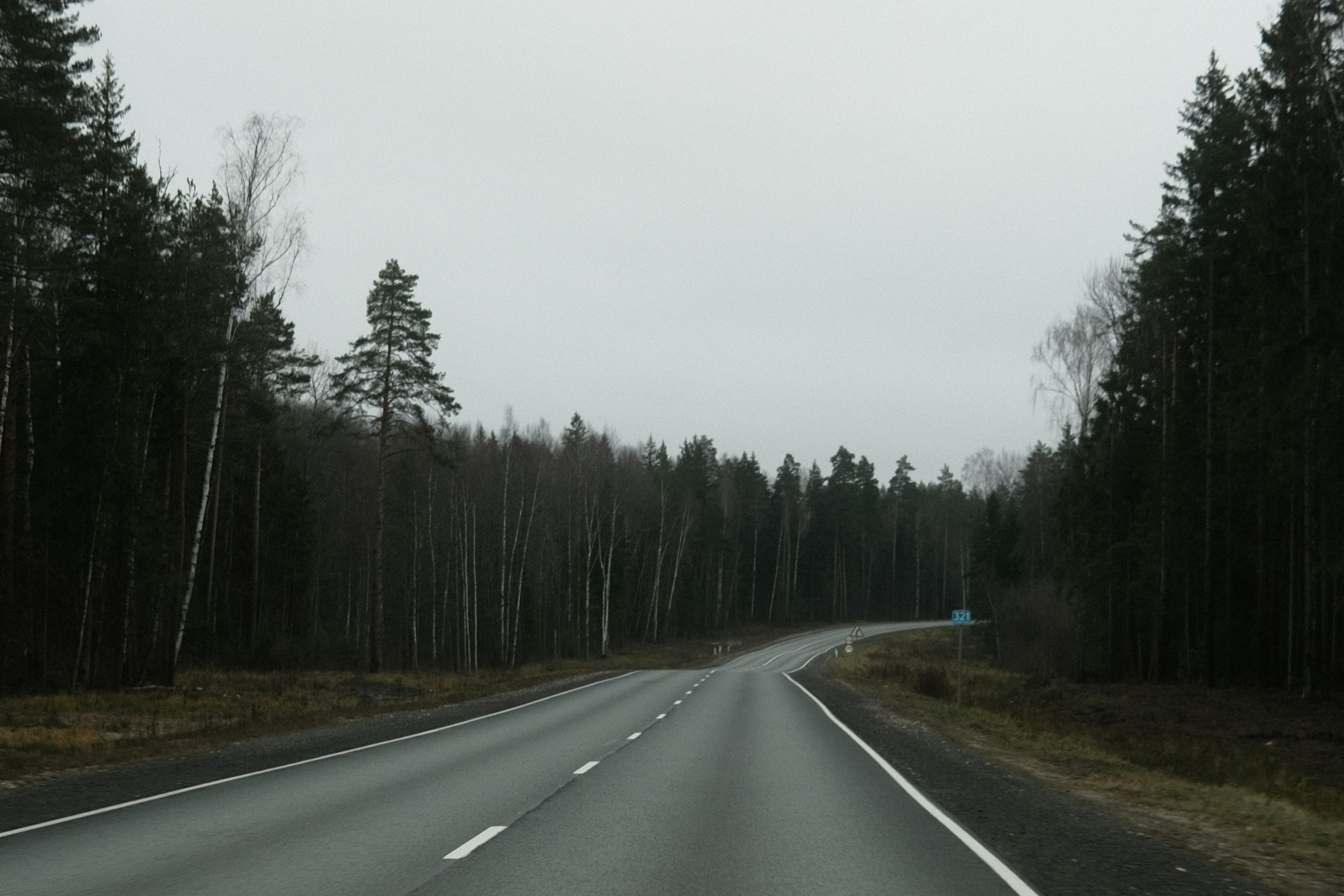 an empty road in the middle of a forest