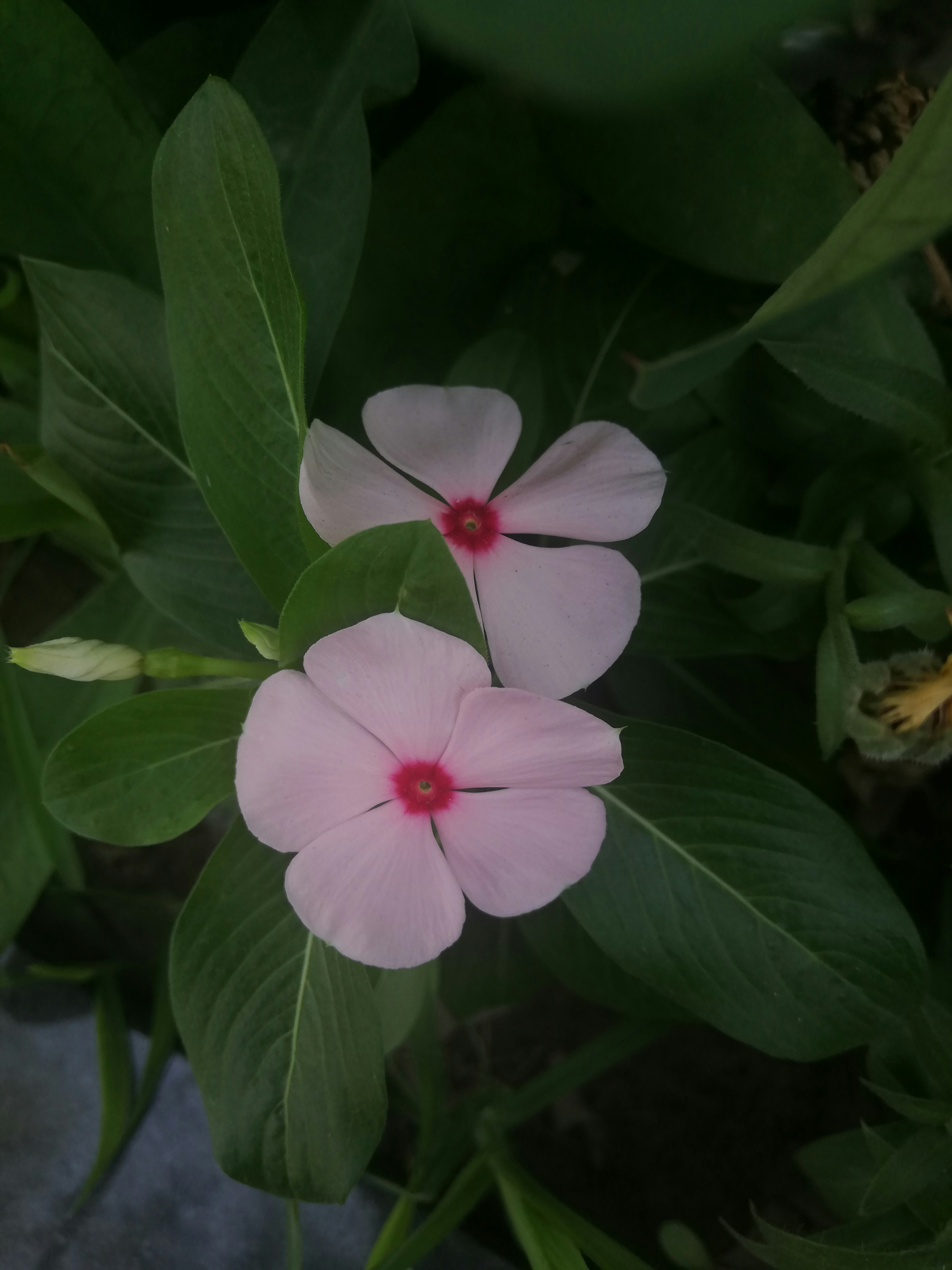 Photo by amie_21