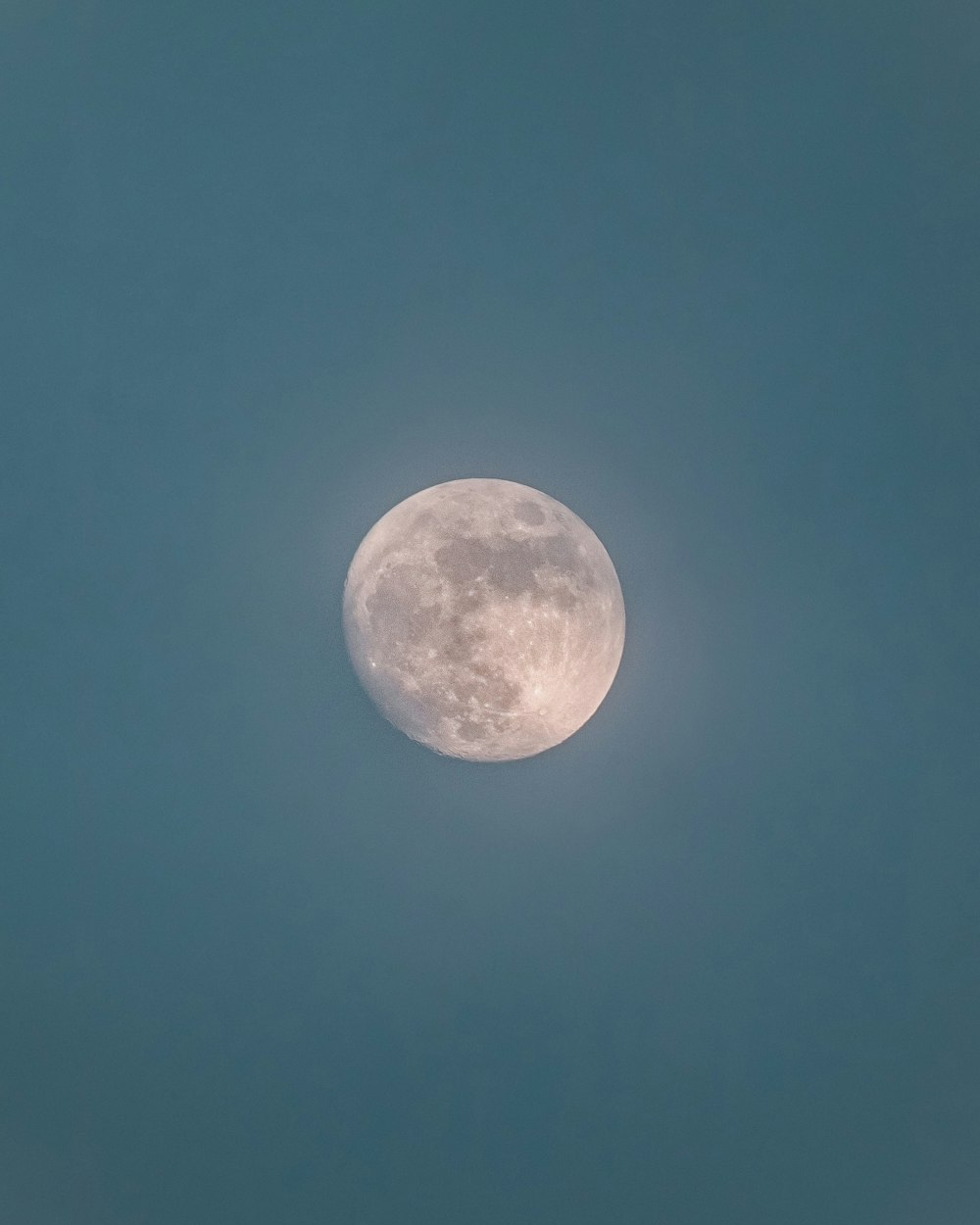 a full moon is seen in the sky