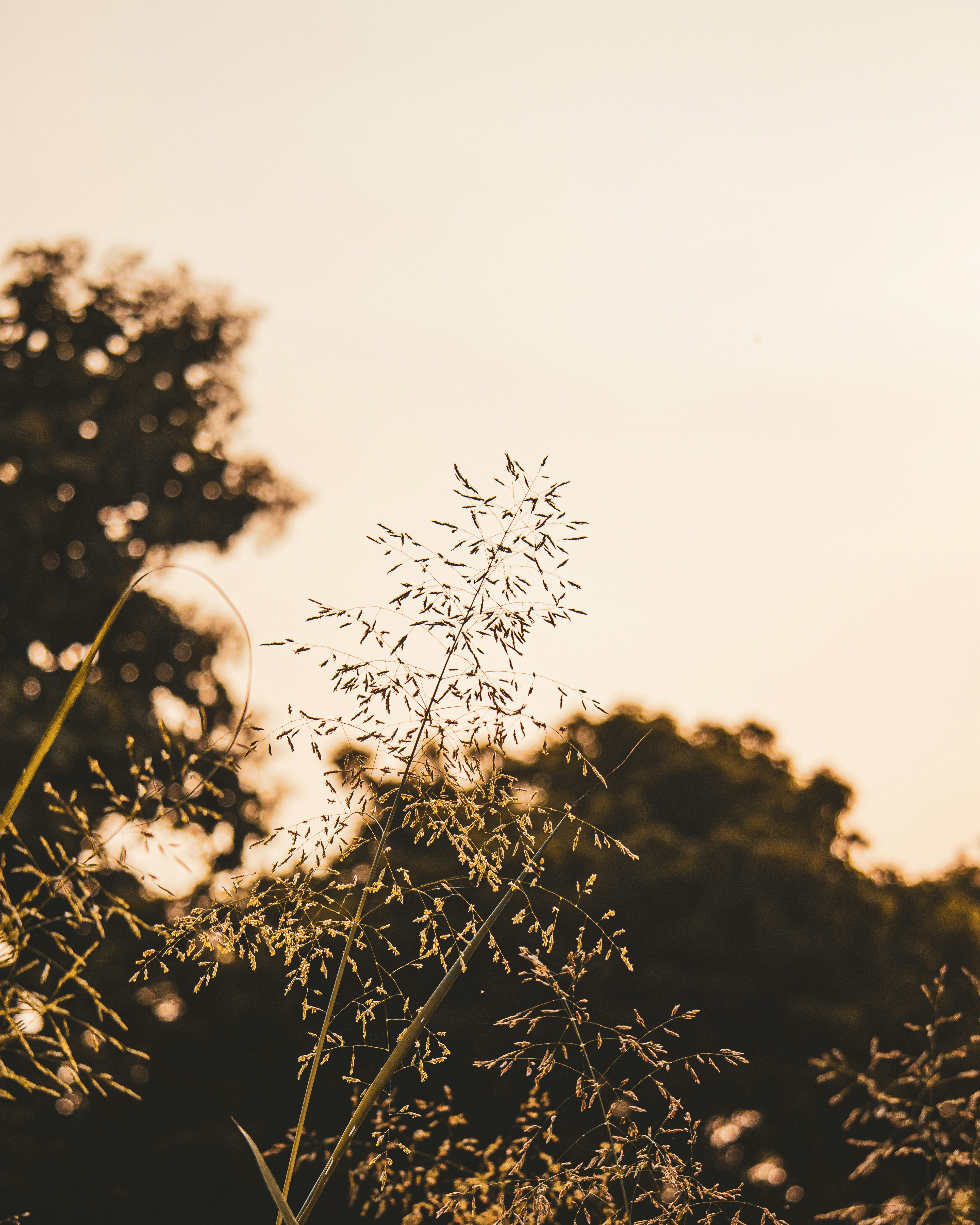 Photo by brajendra_lens_a_lot_