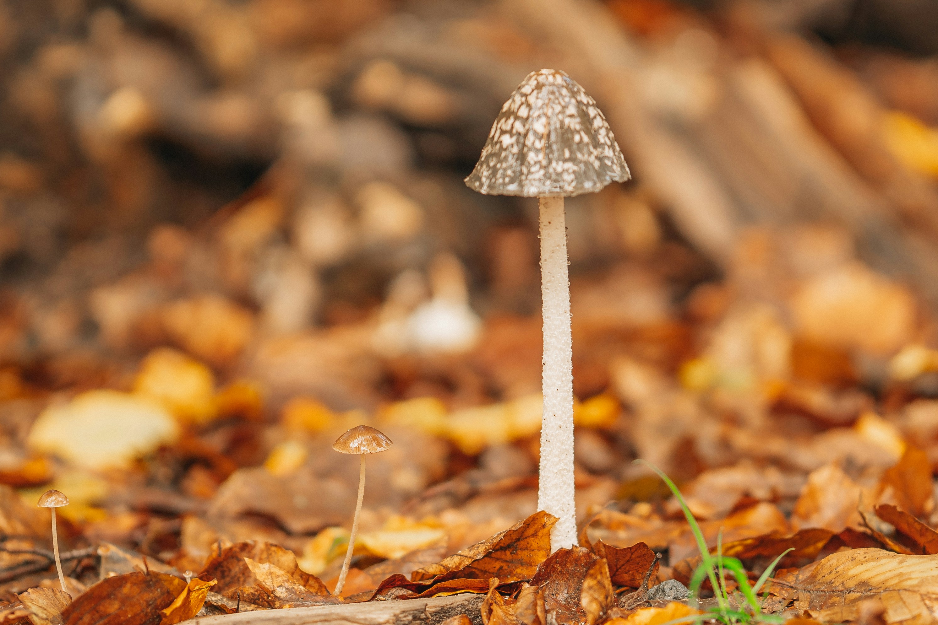 Photo by masoodaslami