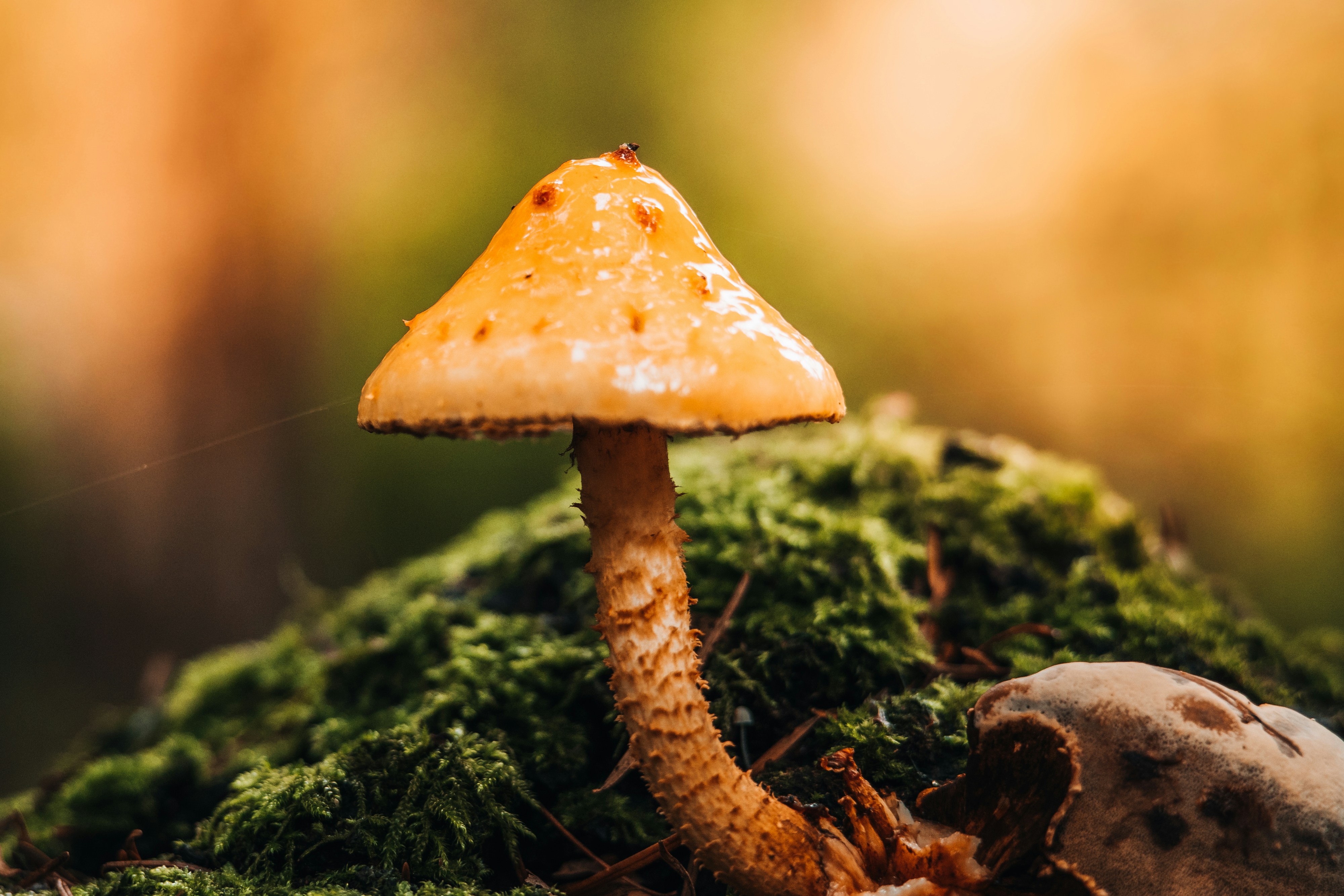 Photo by masoodaslami