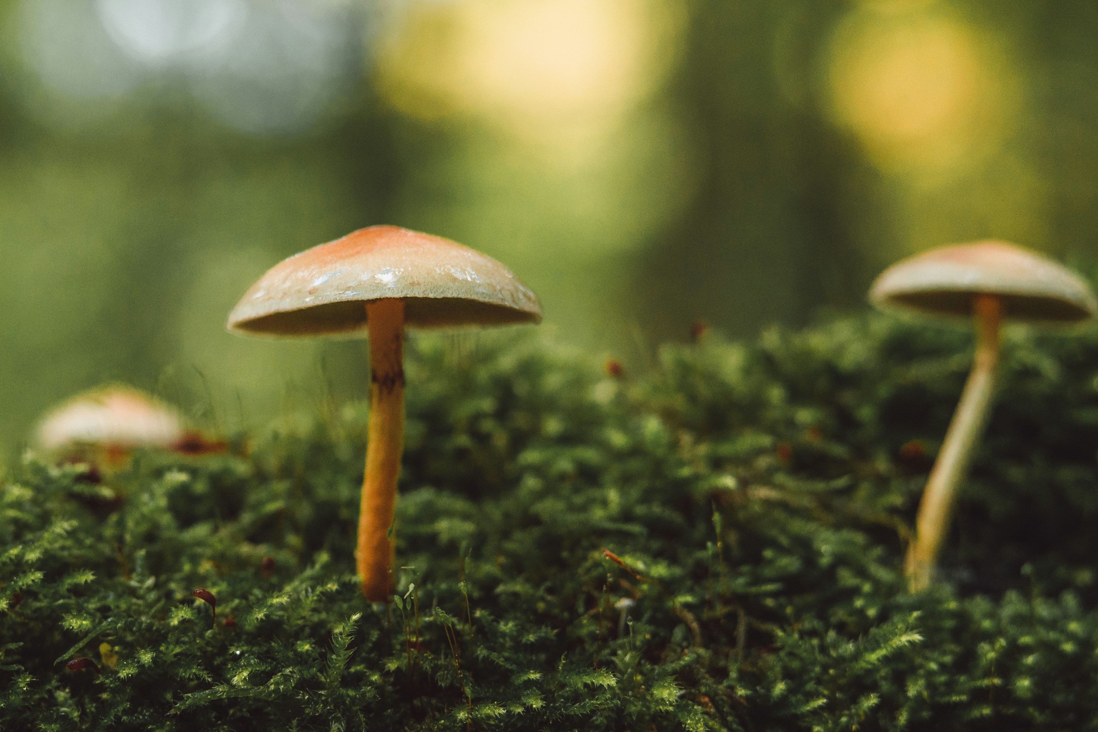 Photo by masoodaslami