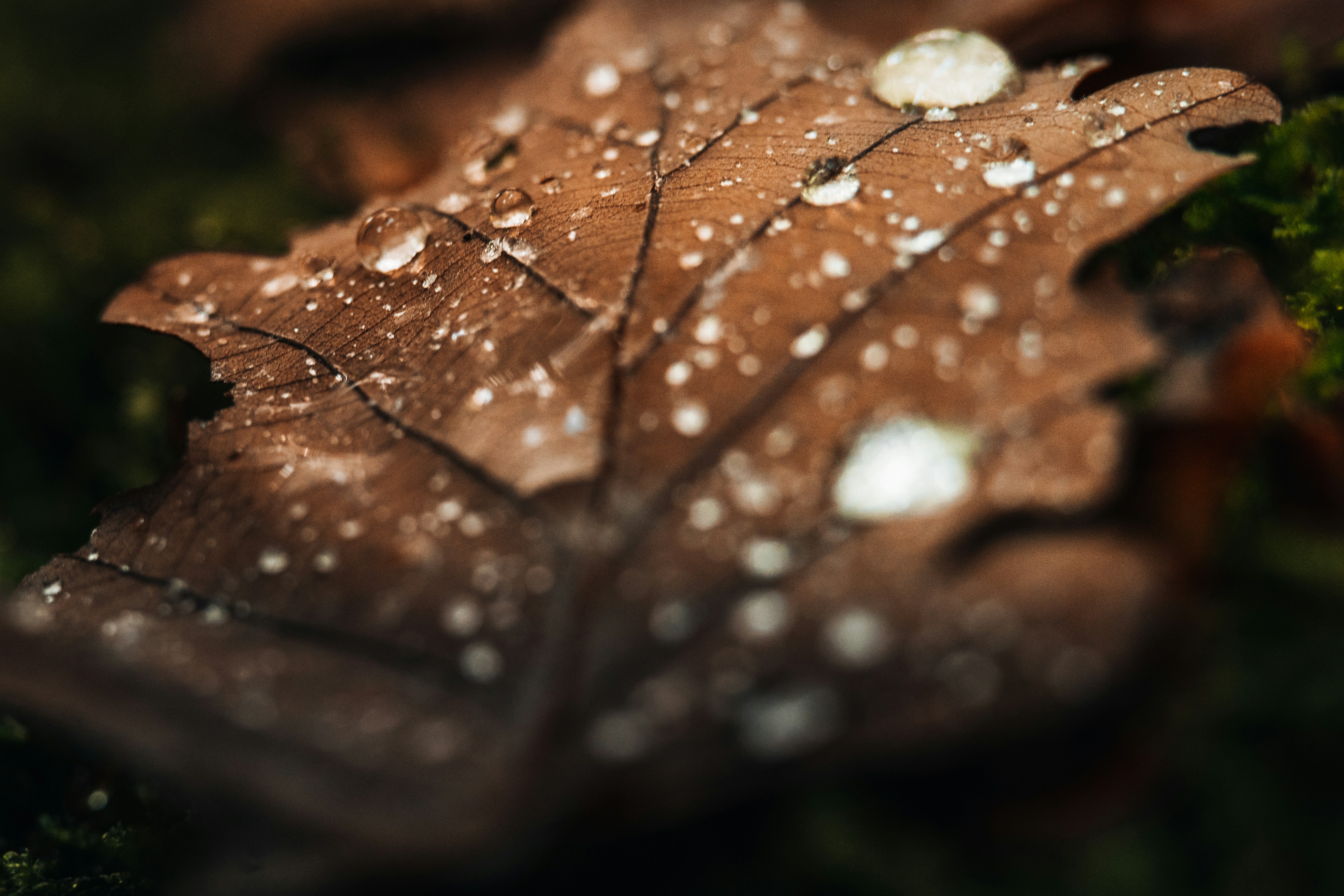 Photo by masoodaslami