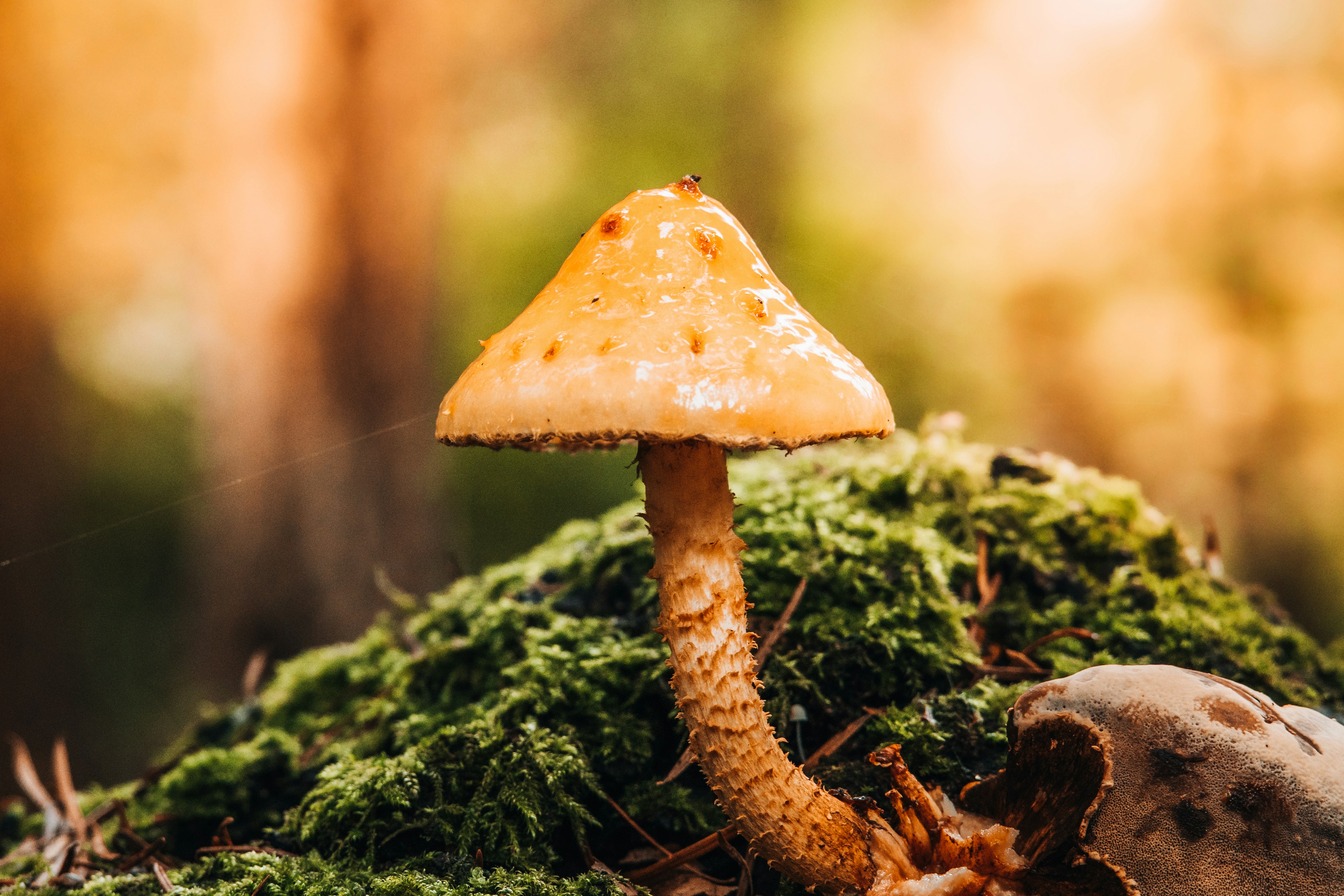 Photo by masoodaslami