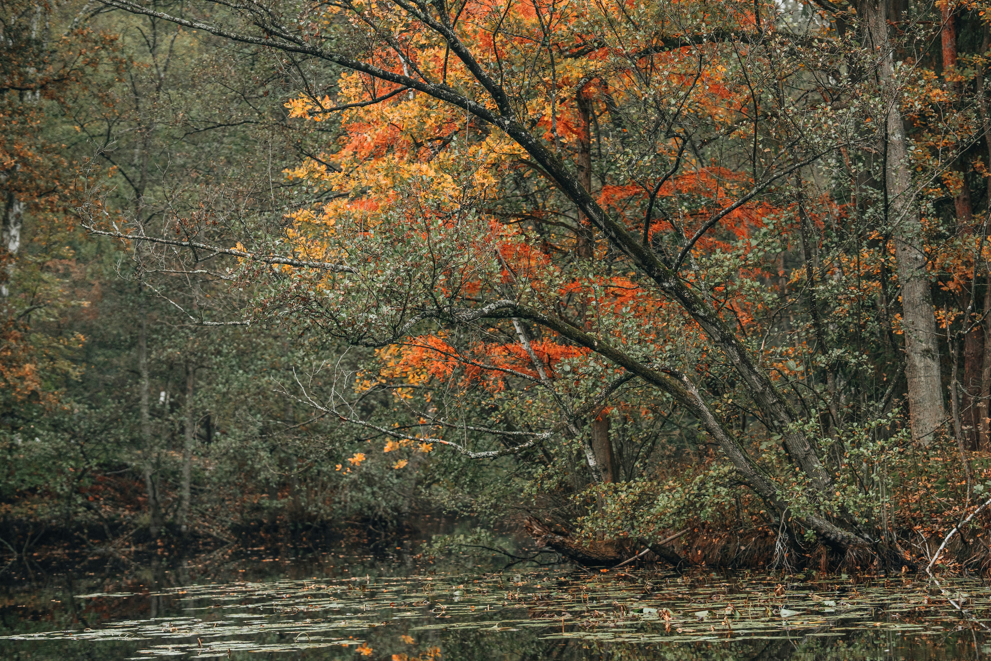 Photo by masoodaslami