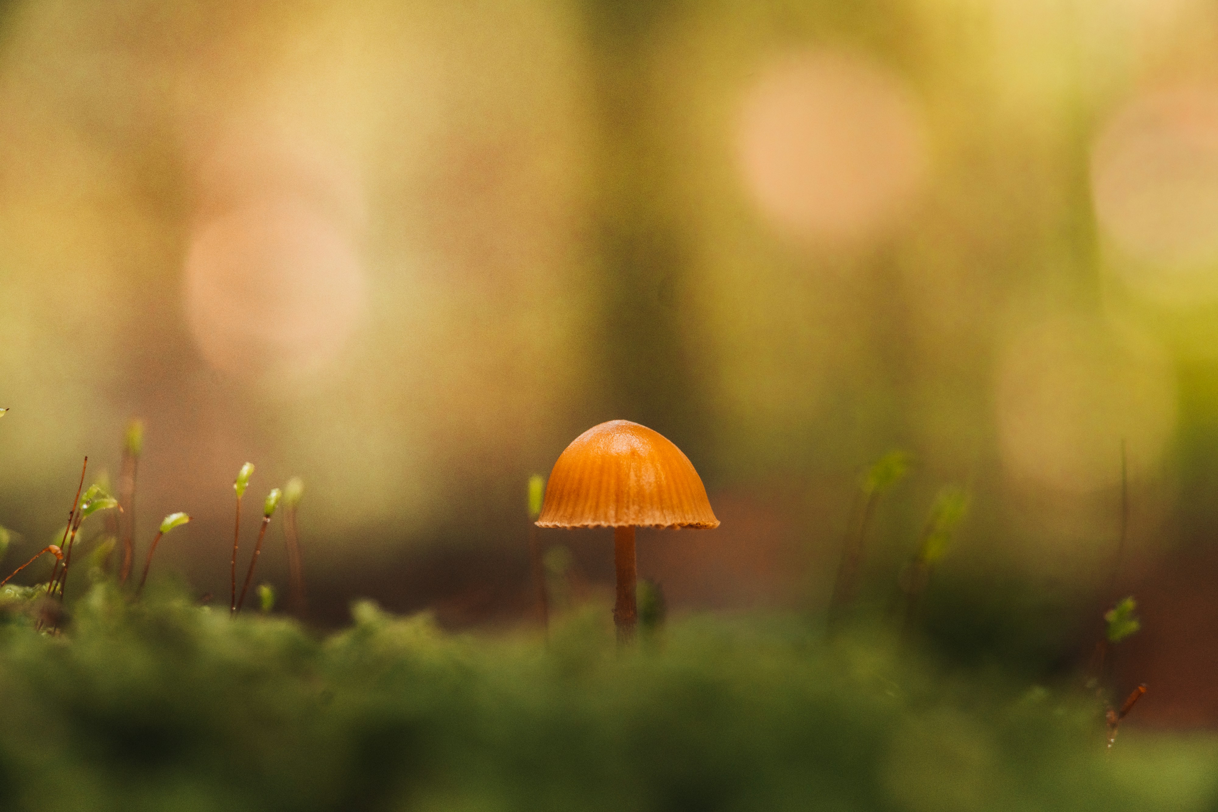 Photo by masoodaslami