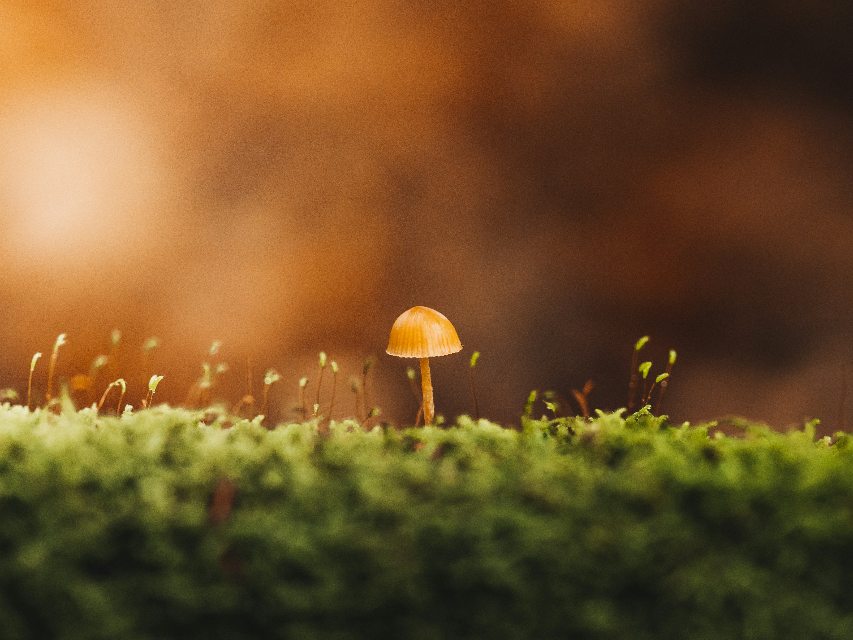 Photo by masoodaslami