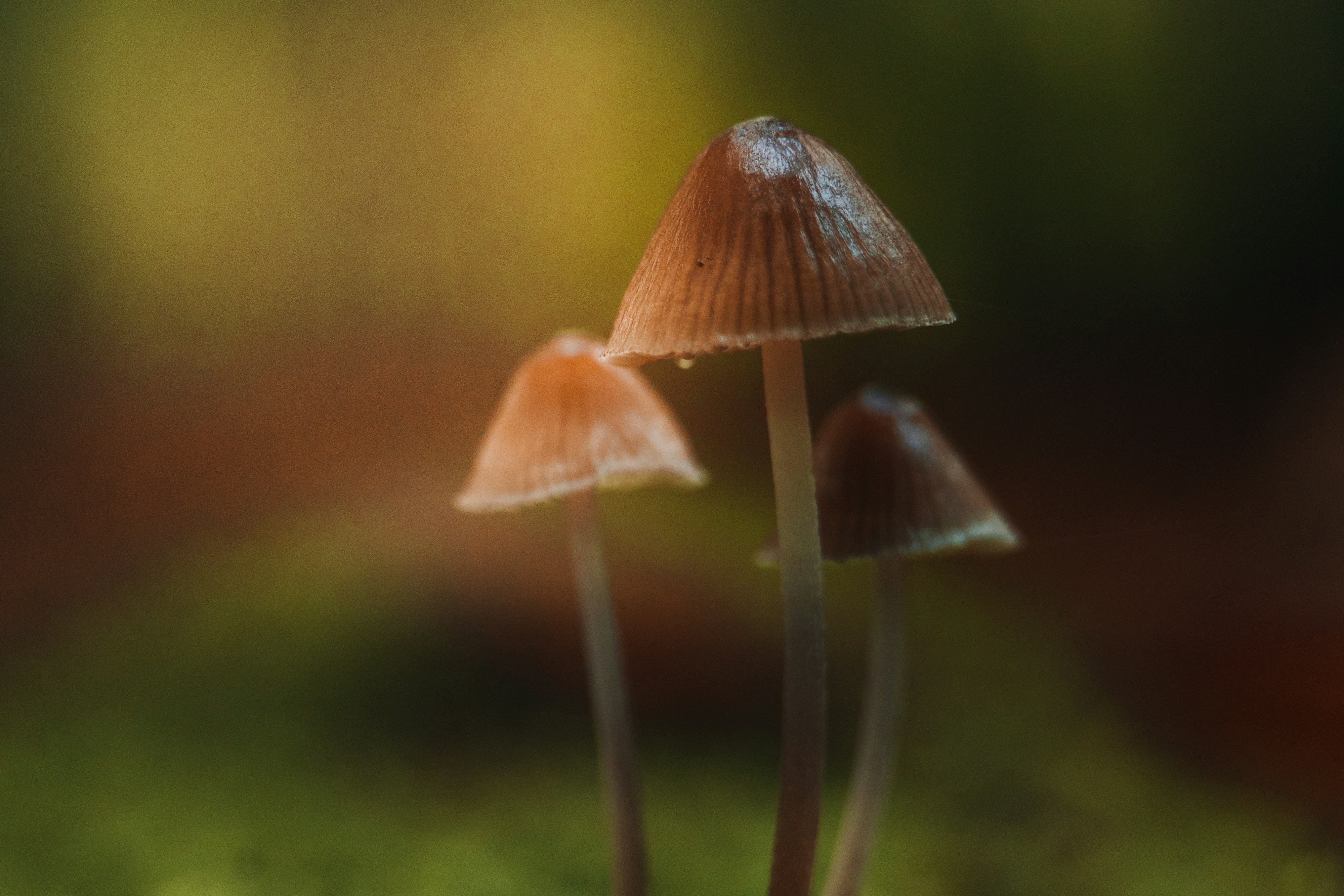 Photo by masoodaslami