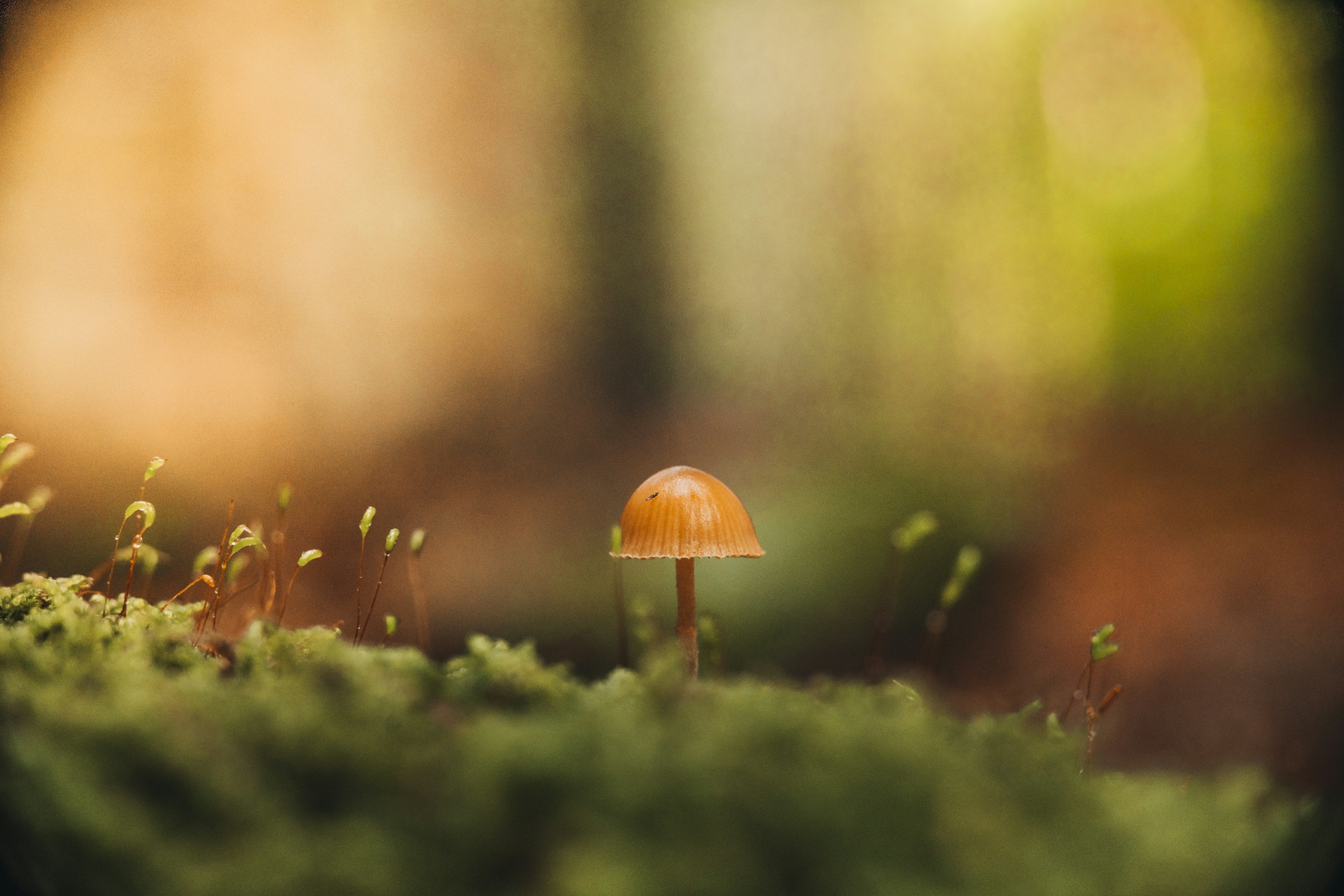 Photo by masoodaslami