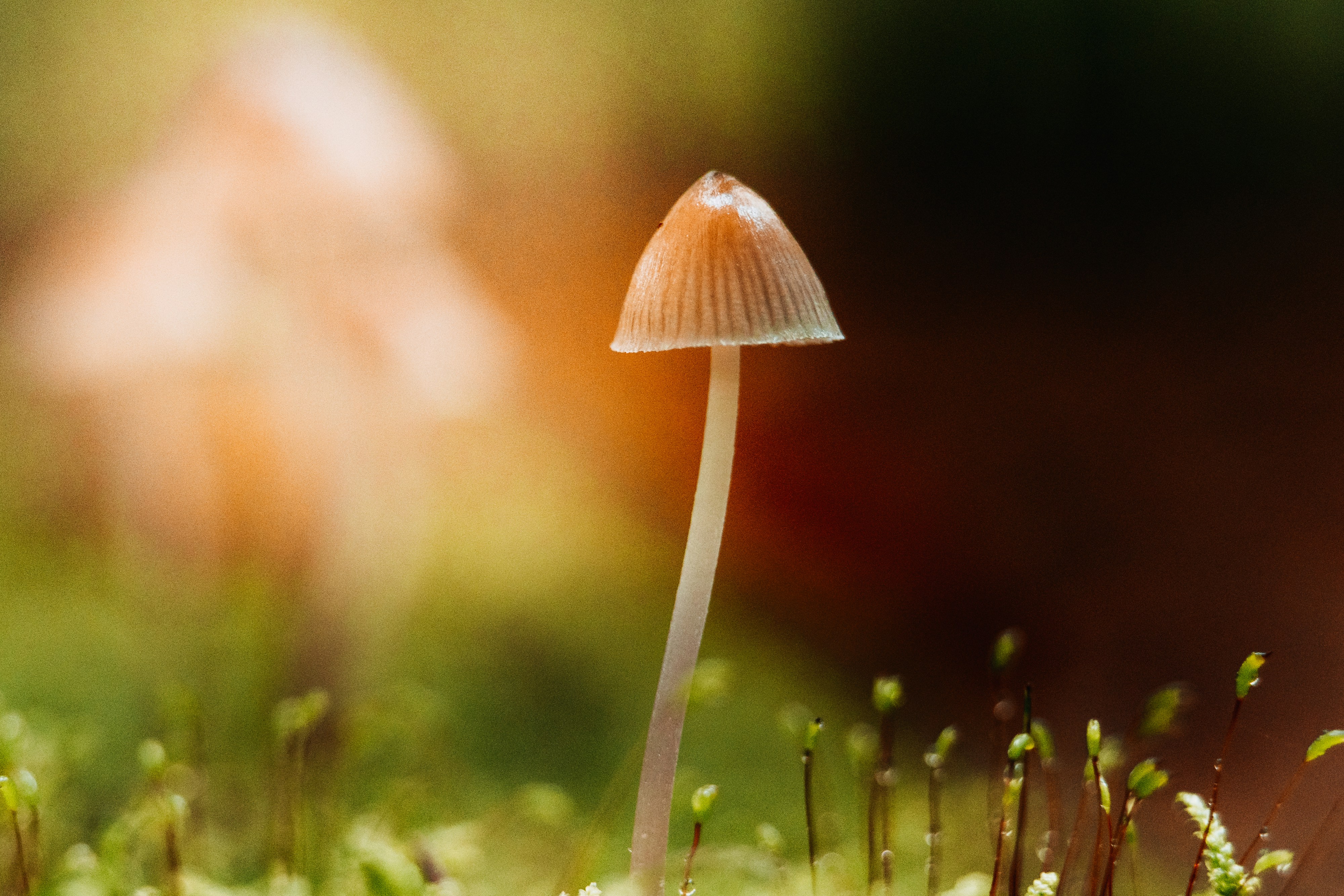 Photo by masoodaslami