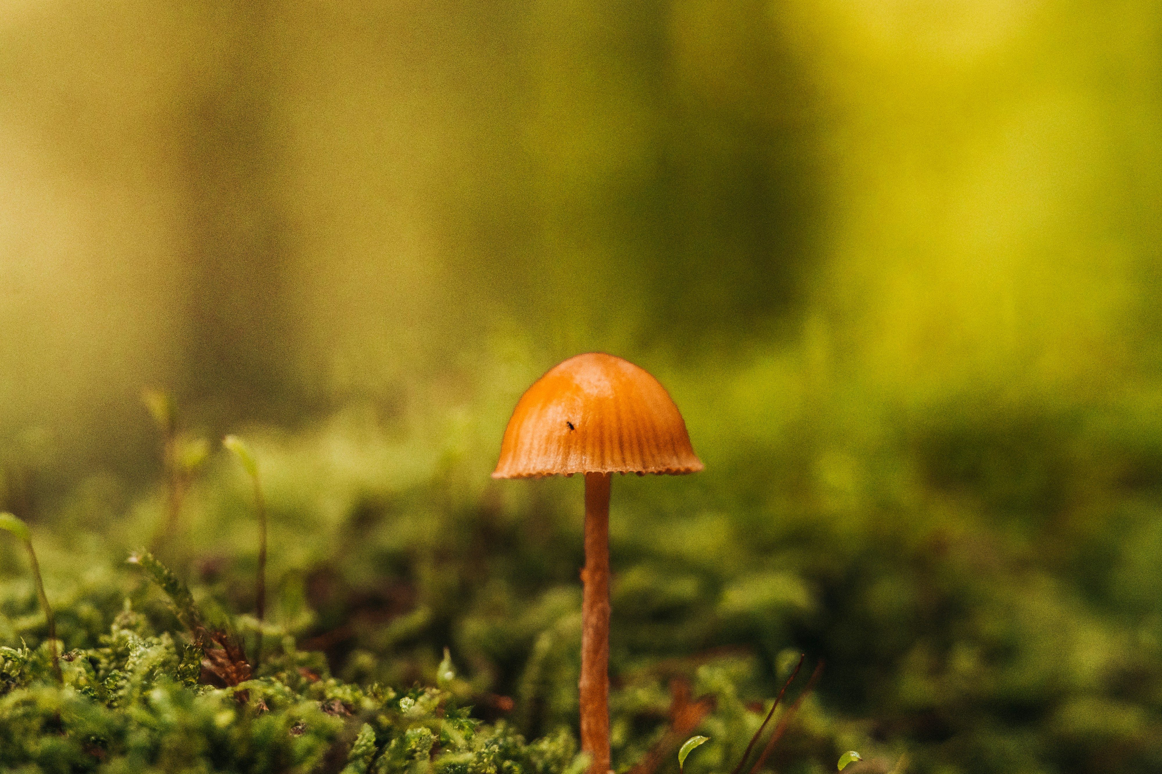 Photo by masoodaslami