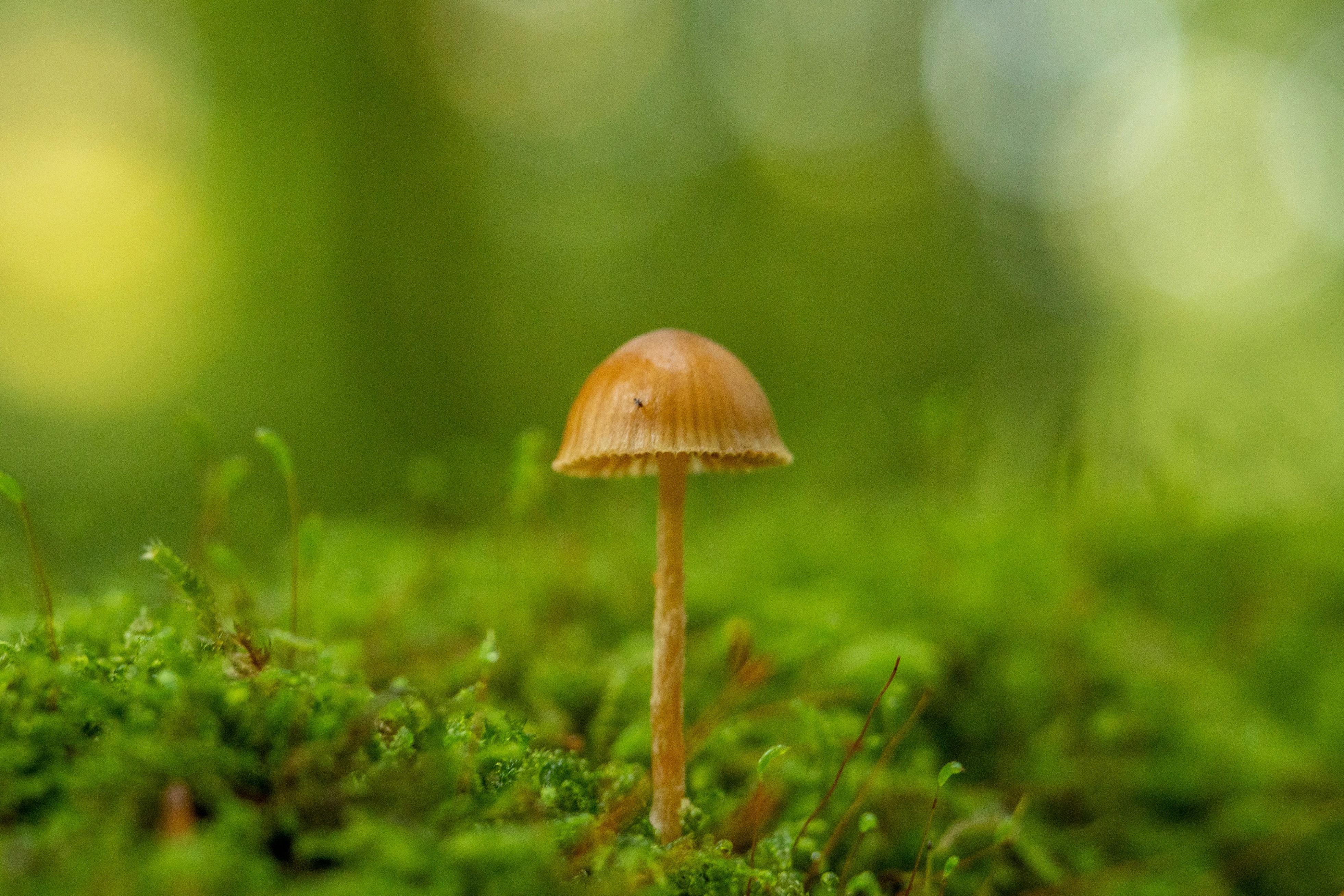 Photo by masoodaslami