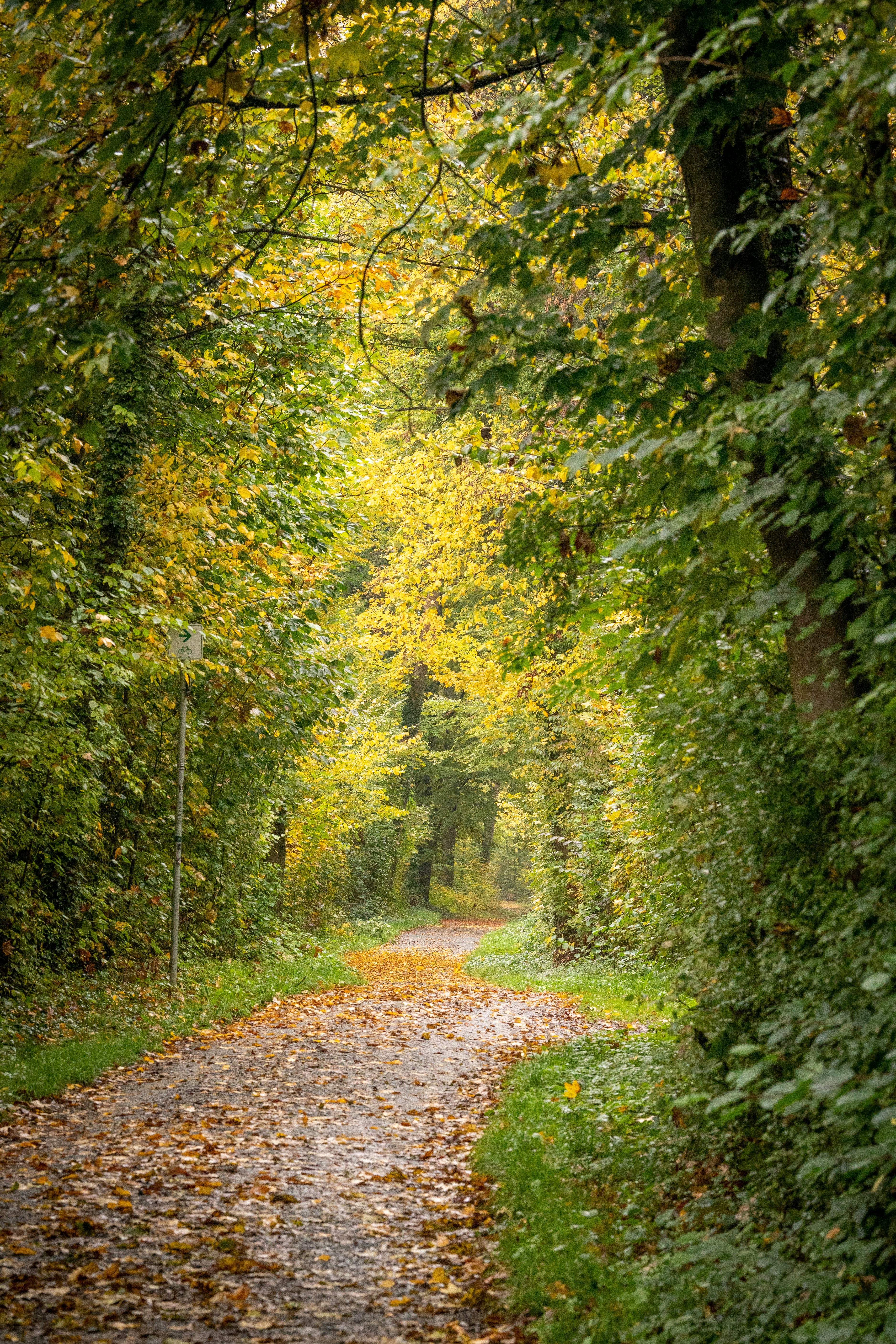 Photo by masoodaslami