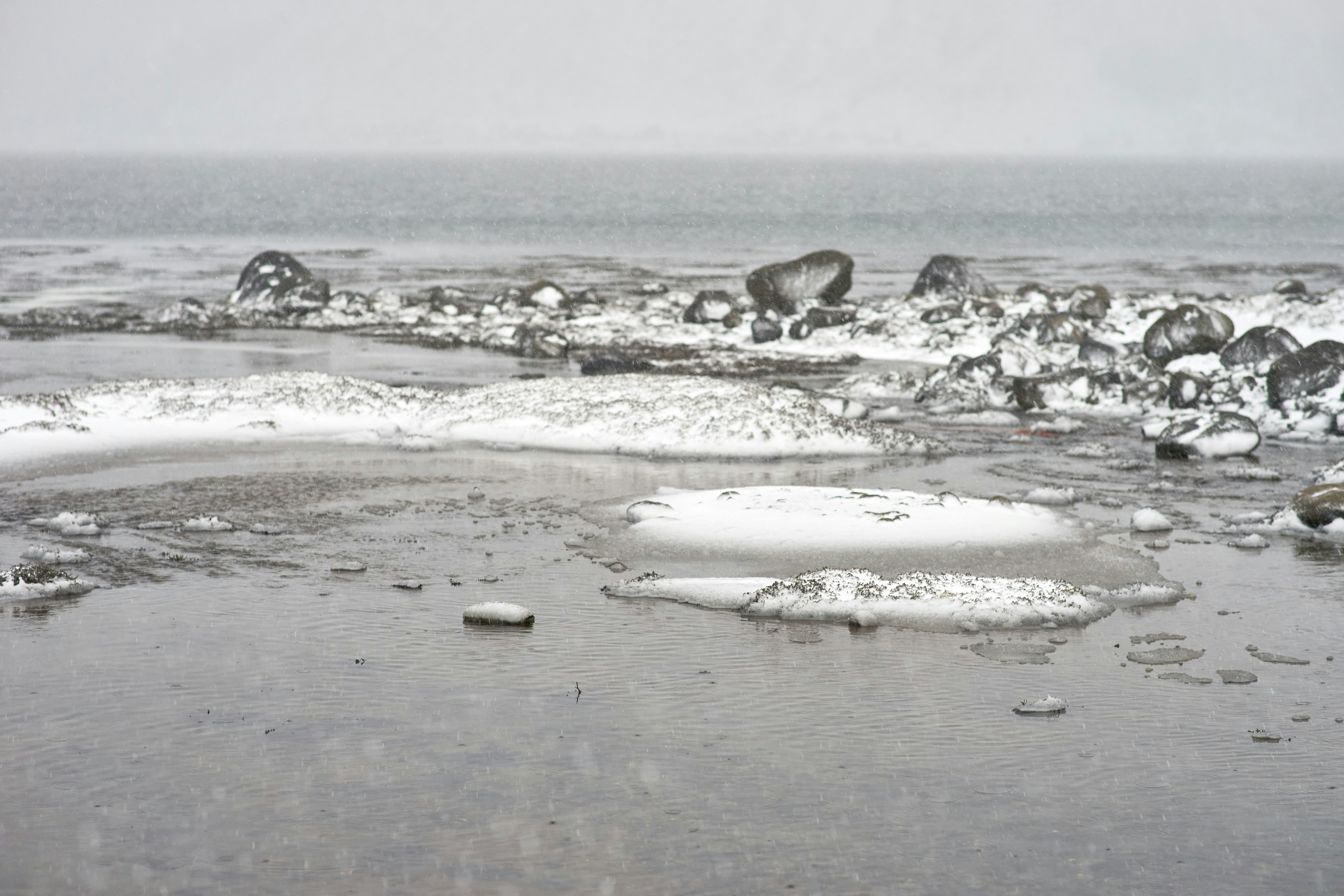 Photo by wolfgang_hasselmann