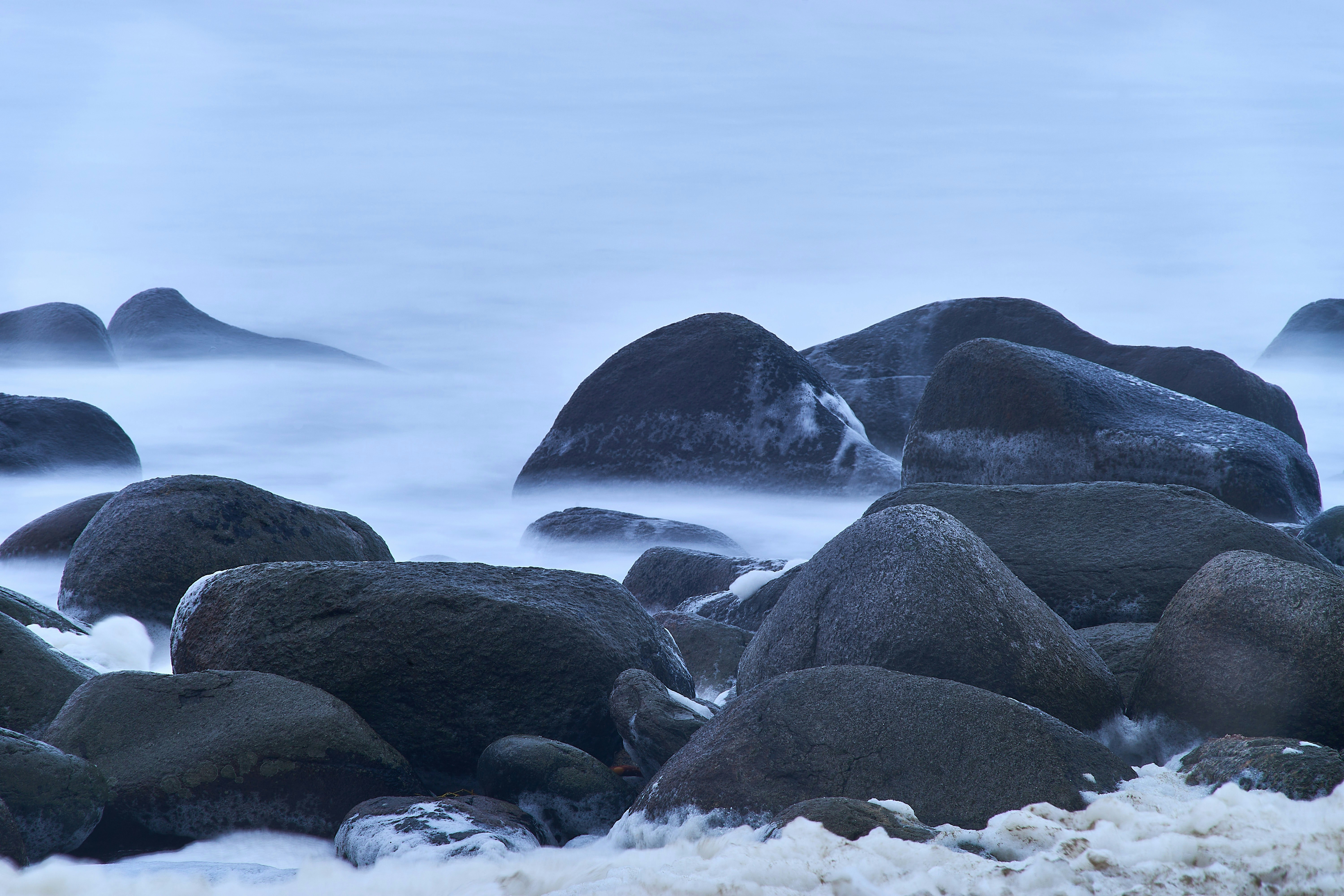 Photo by wolfgang_hasselmann