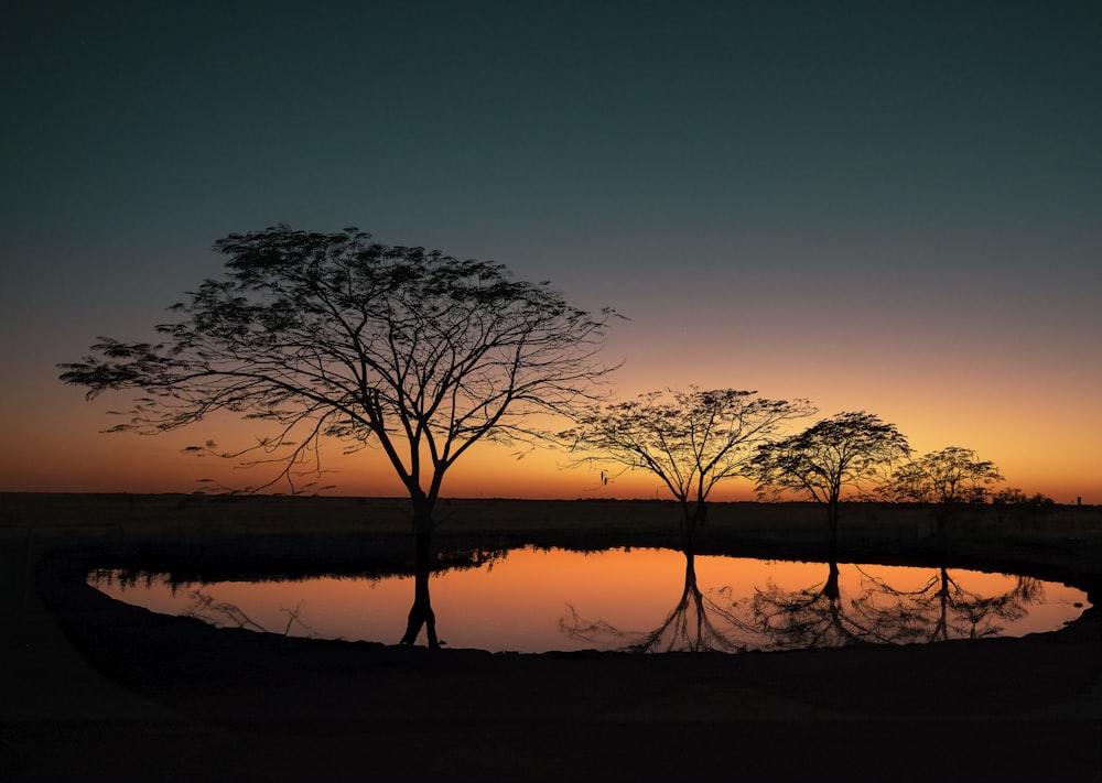 a sunset with trees reflected in the water