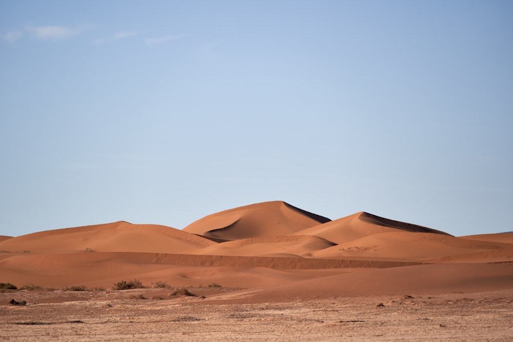 a group of sand dunes in the desert