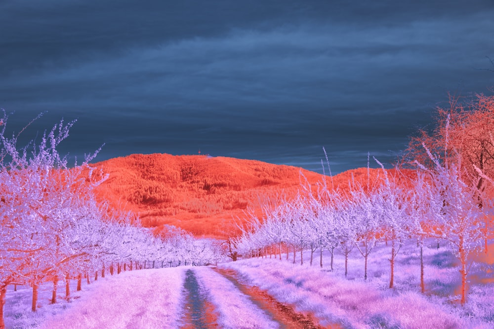 an infrared image of a dirt road surrounded by trees