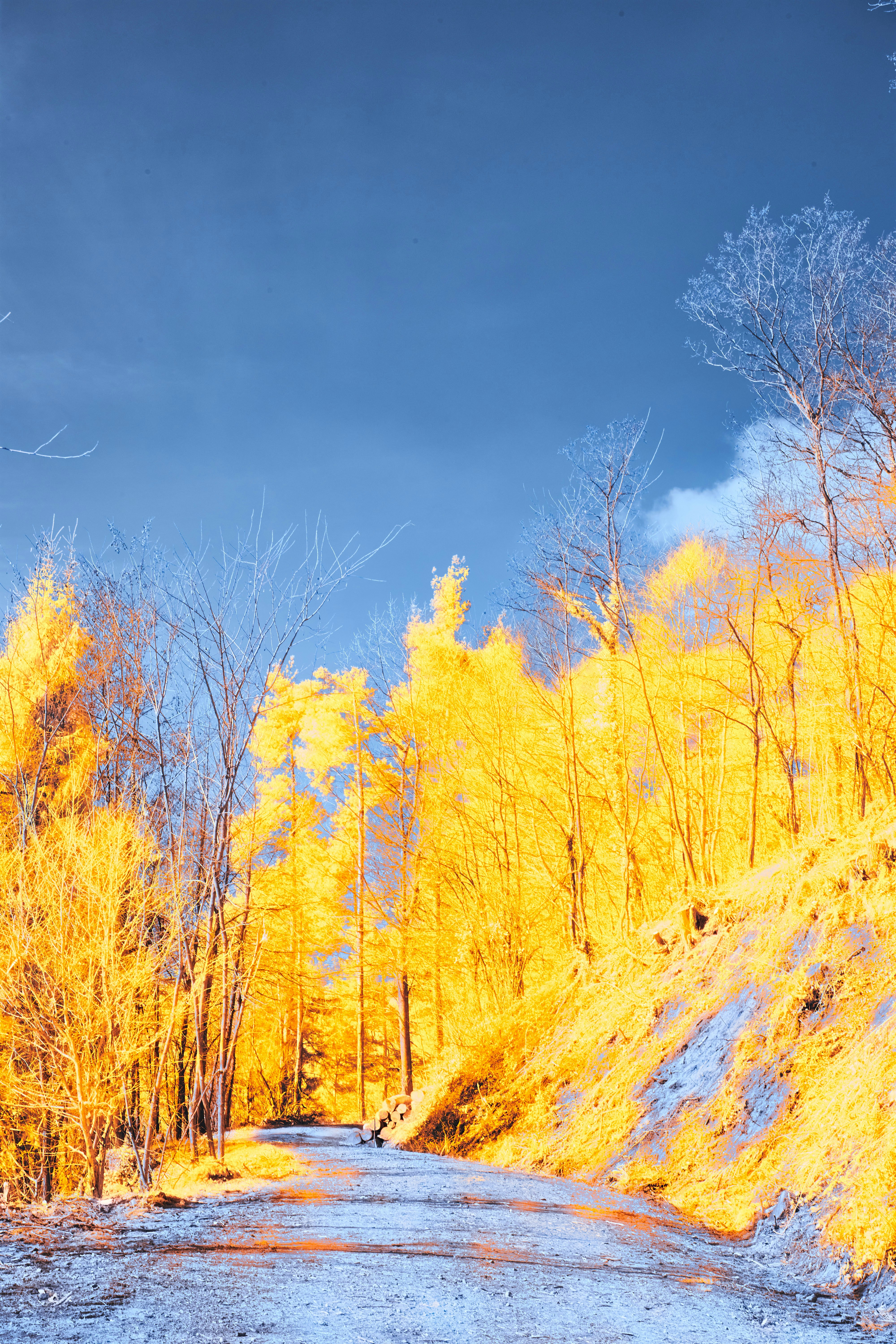 Photo by wolfgang_hasselmann