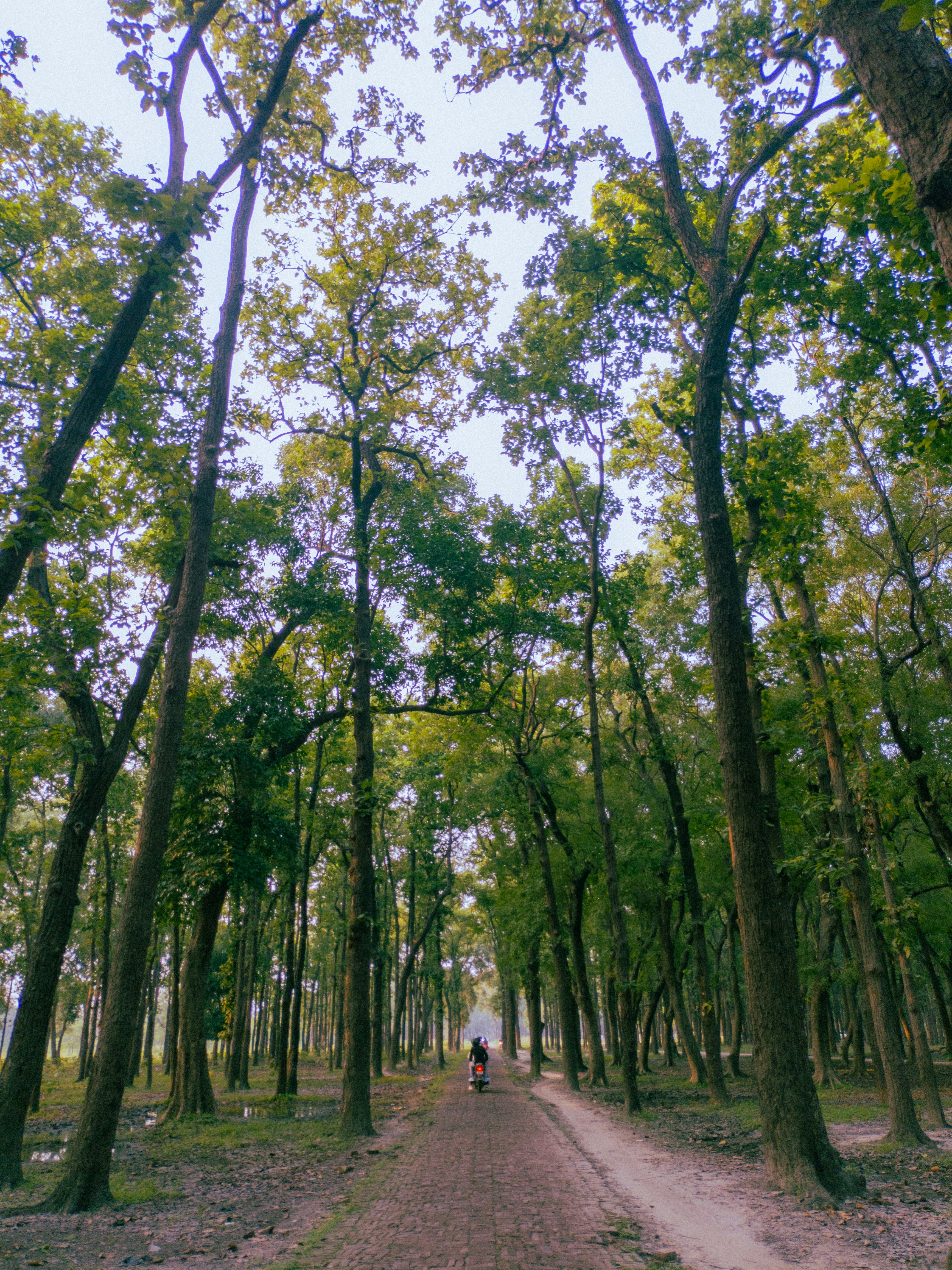 Photo by shivendrra_