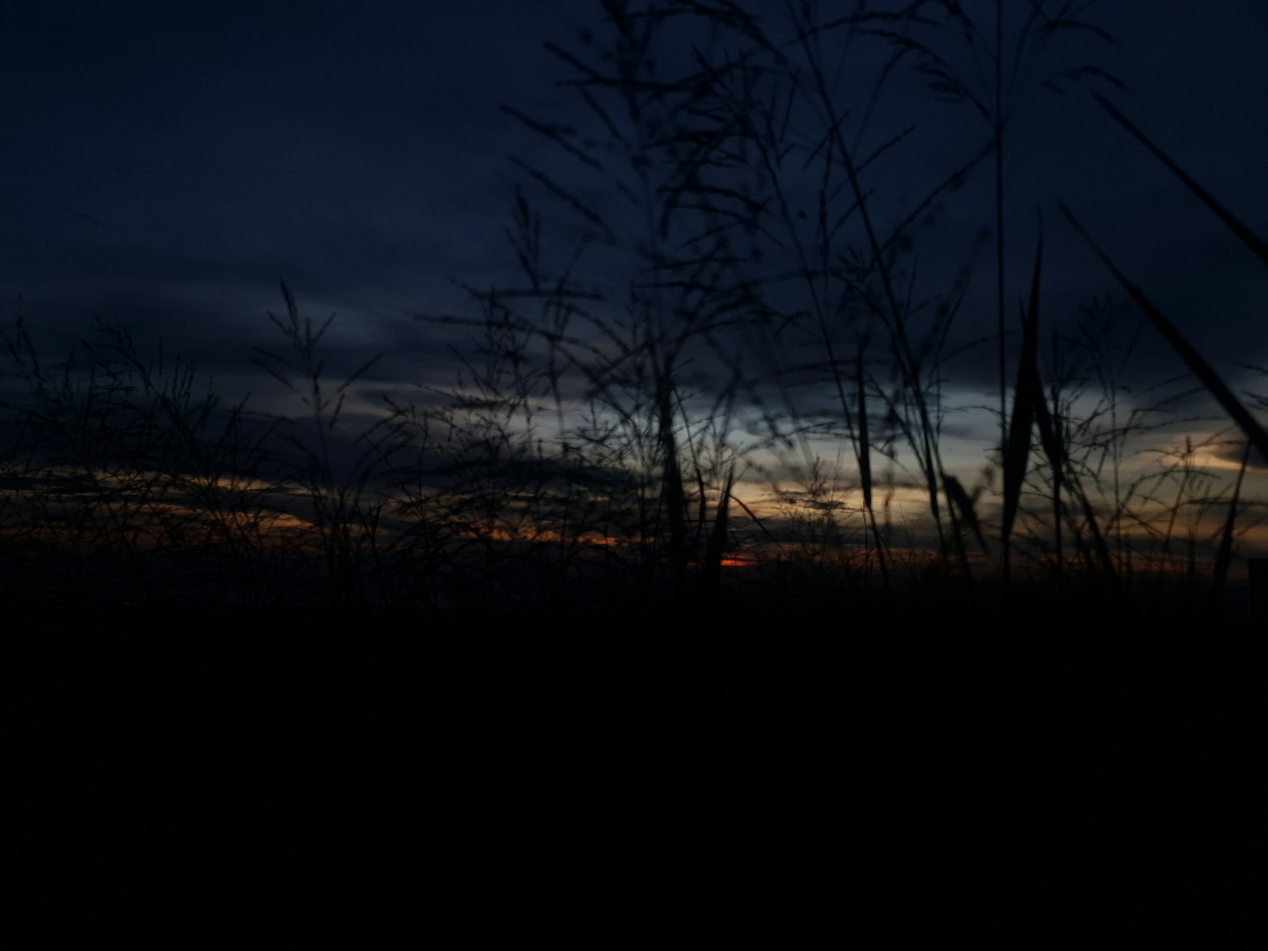 Photo by zs_intricate