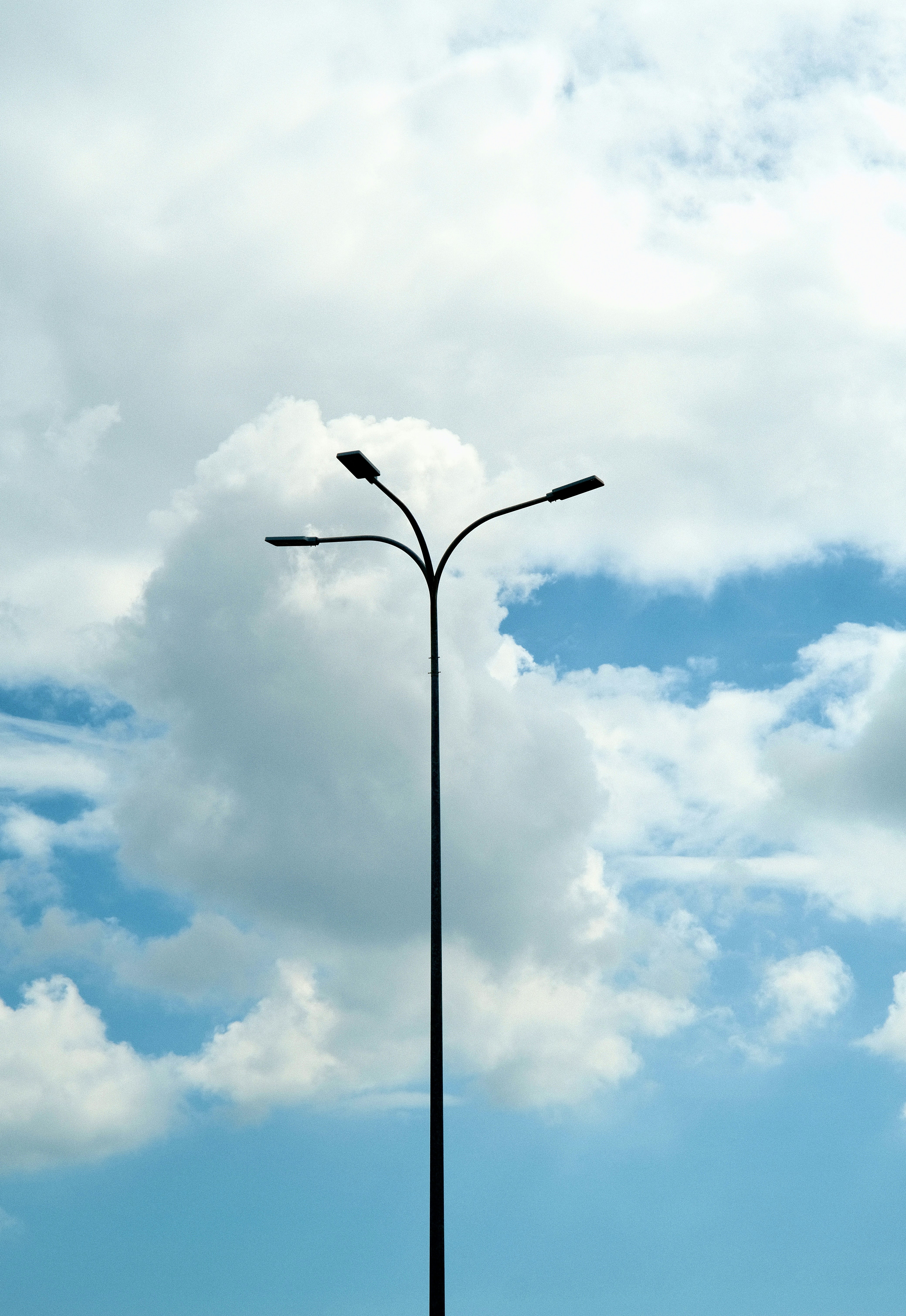 Photo by dvhoang2106