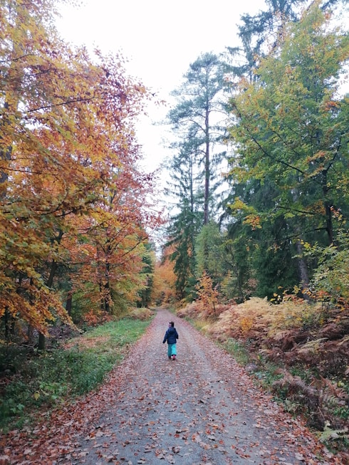 a person walking down a dirt road in the woods