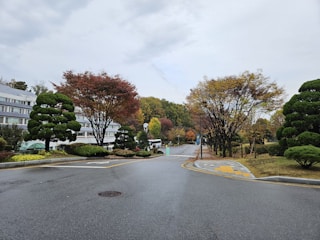 A quiet Nashville street with branches lined up neatly at the curb for pickup.