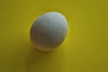 A single white egg placed on a bright yellow surface, casting a soft shadow.