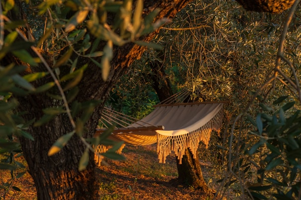 A hammock strung between two oak trees, perfect for an afternoon nap in the quiet Florida countryside.