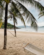 A tranquil hammock spot nestled between palm trees overlooking the beach.
