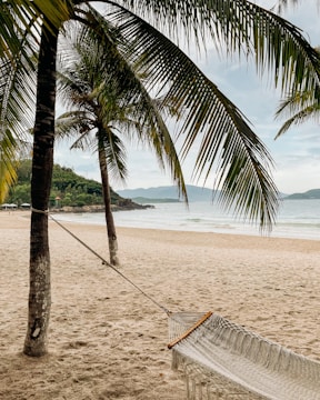 A tranquil hammock spot nestled between palm trees overlooking the beach.