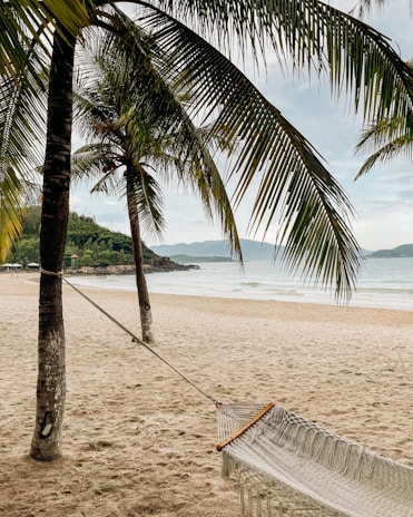 A hammock strung between two palm trees overlooking the calm beach at dawn.