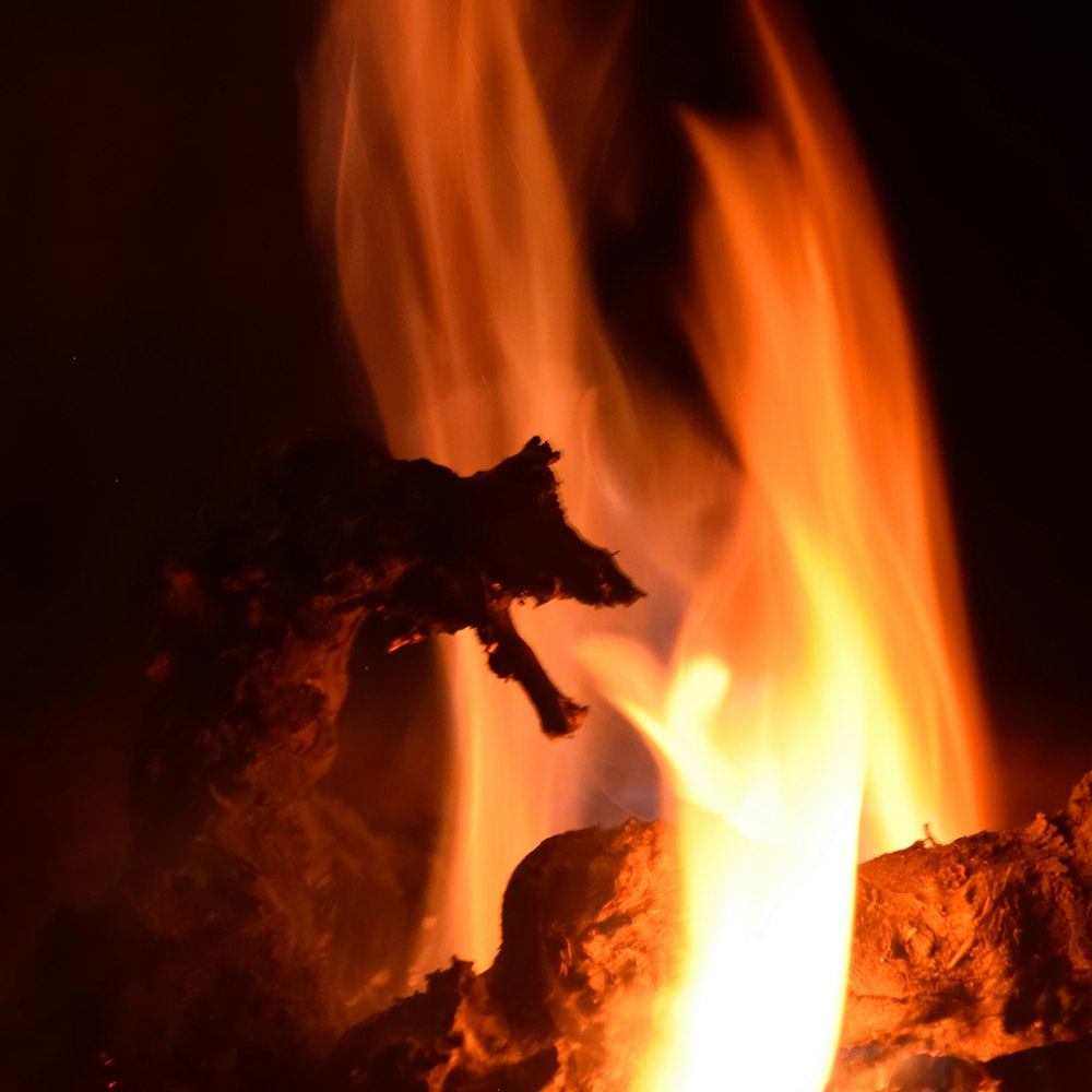 a close up of a fire with rocks and flames