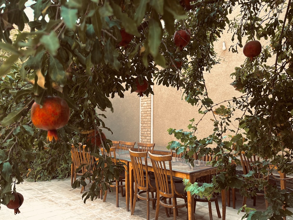 a table and chairs under a tree with fruit hanging from it