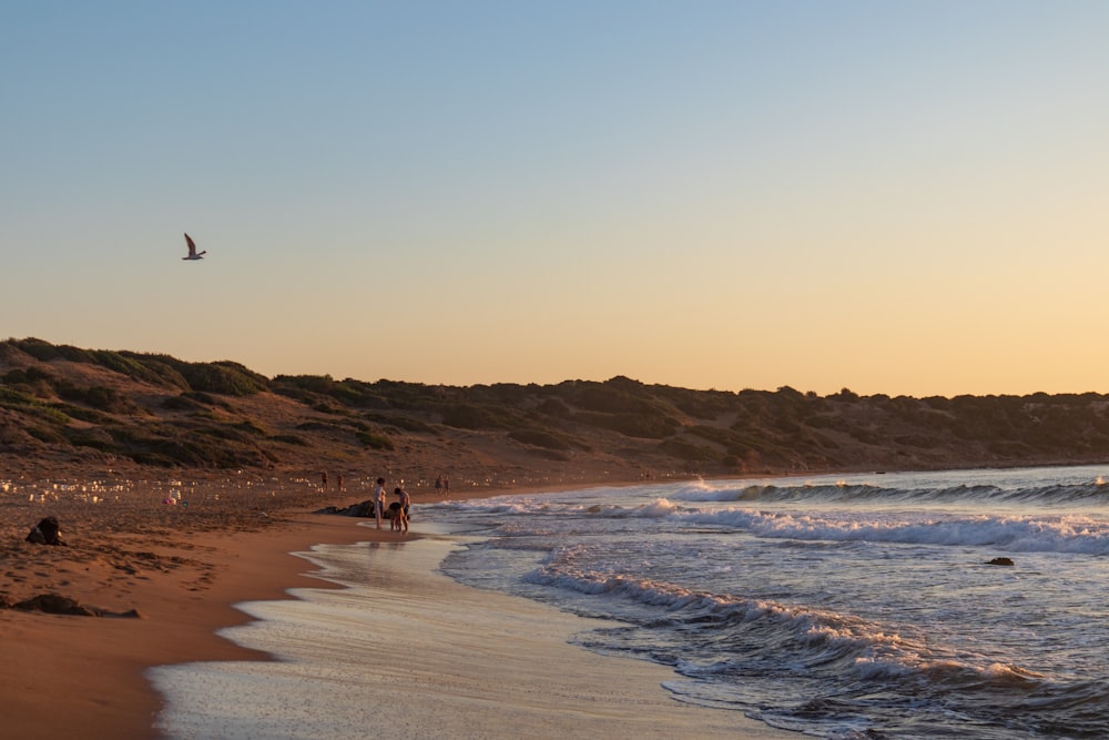 a group of people standing on top of a sandy beach