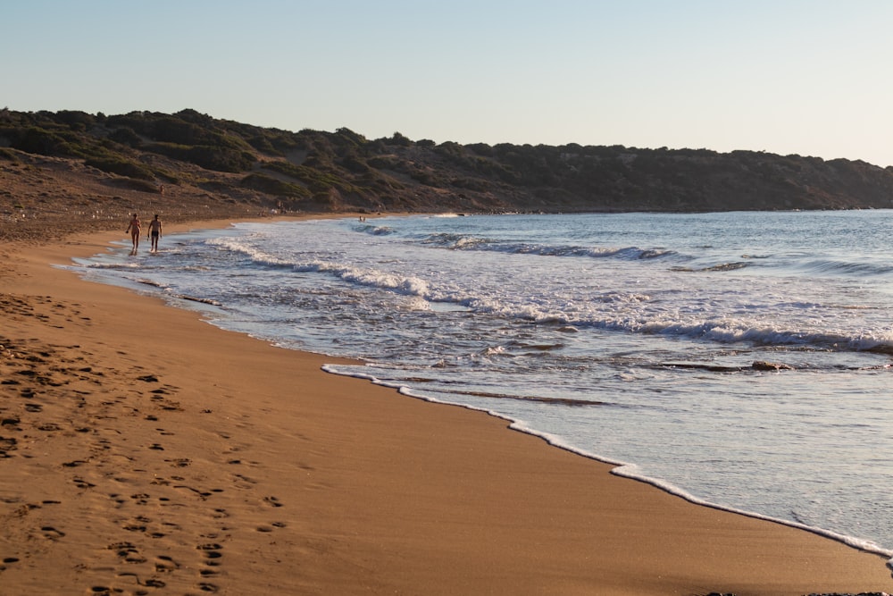 a couple of people walking along a beach next to the ocean