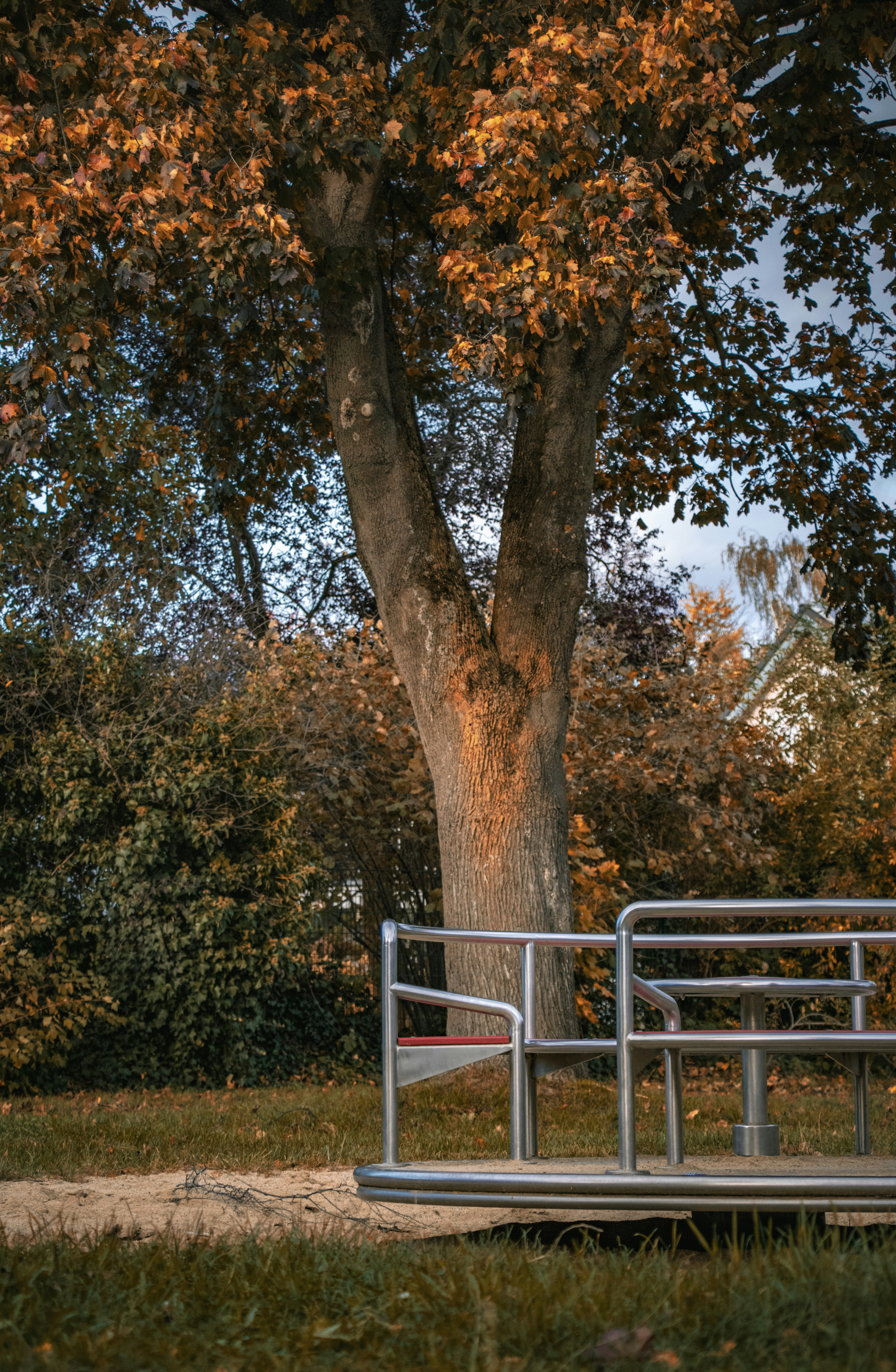 Photo by sorinbasangeac