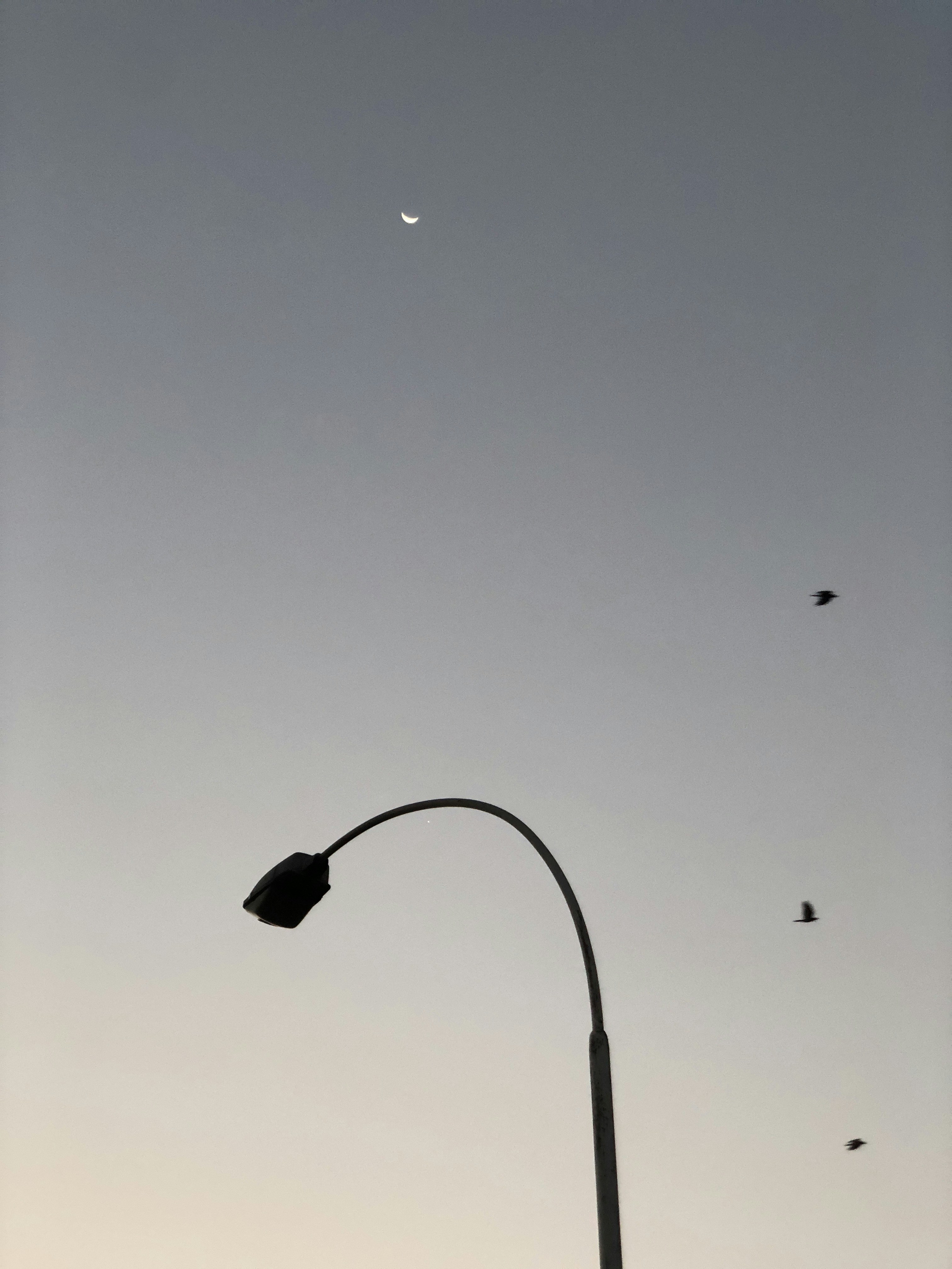 Photo by hashamshabbir98